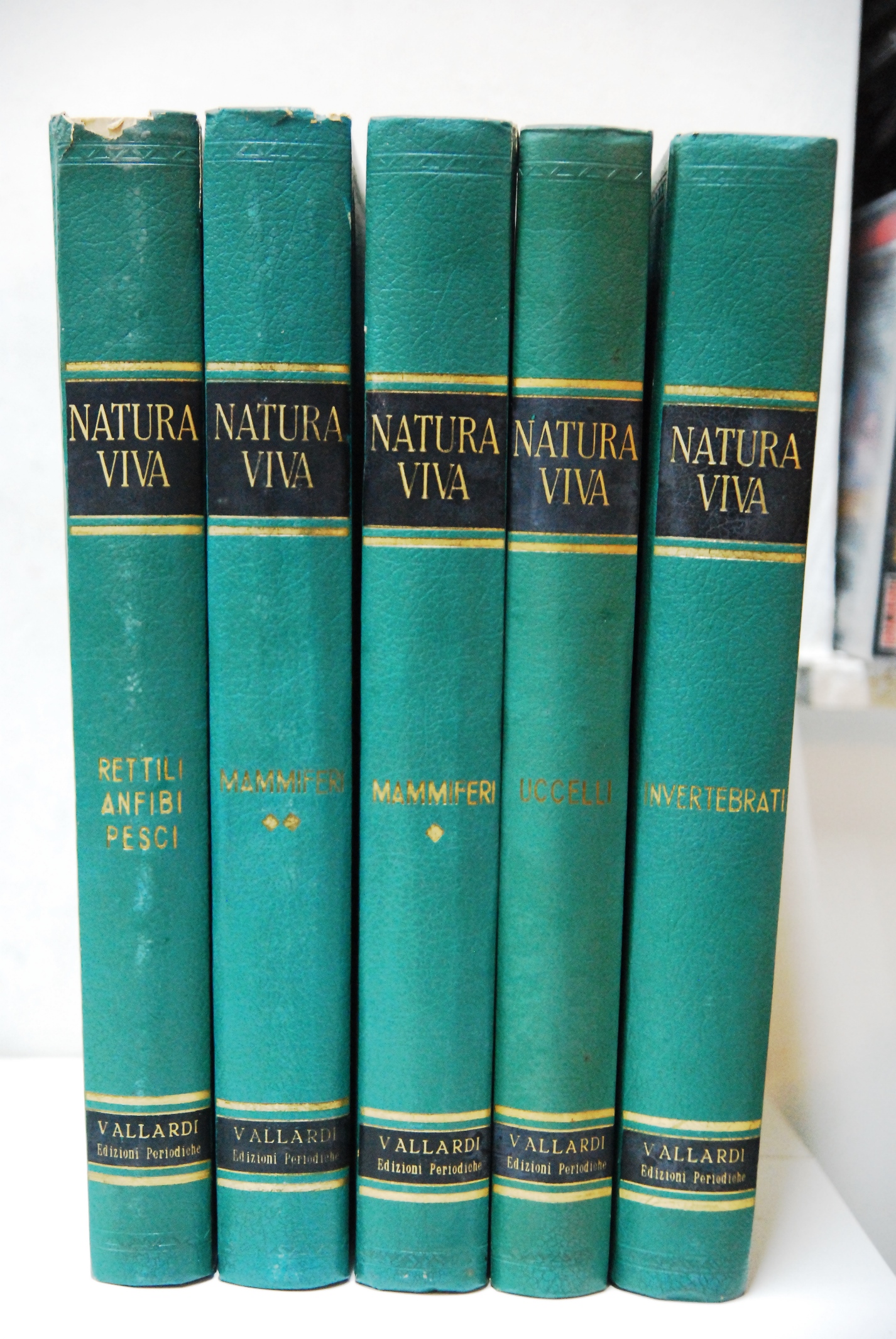 natura viva enciclopedia sistematica del regno animale 5 voll. cpl.