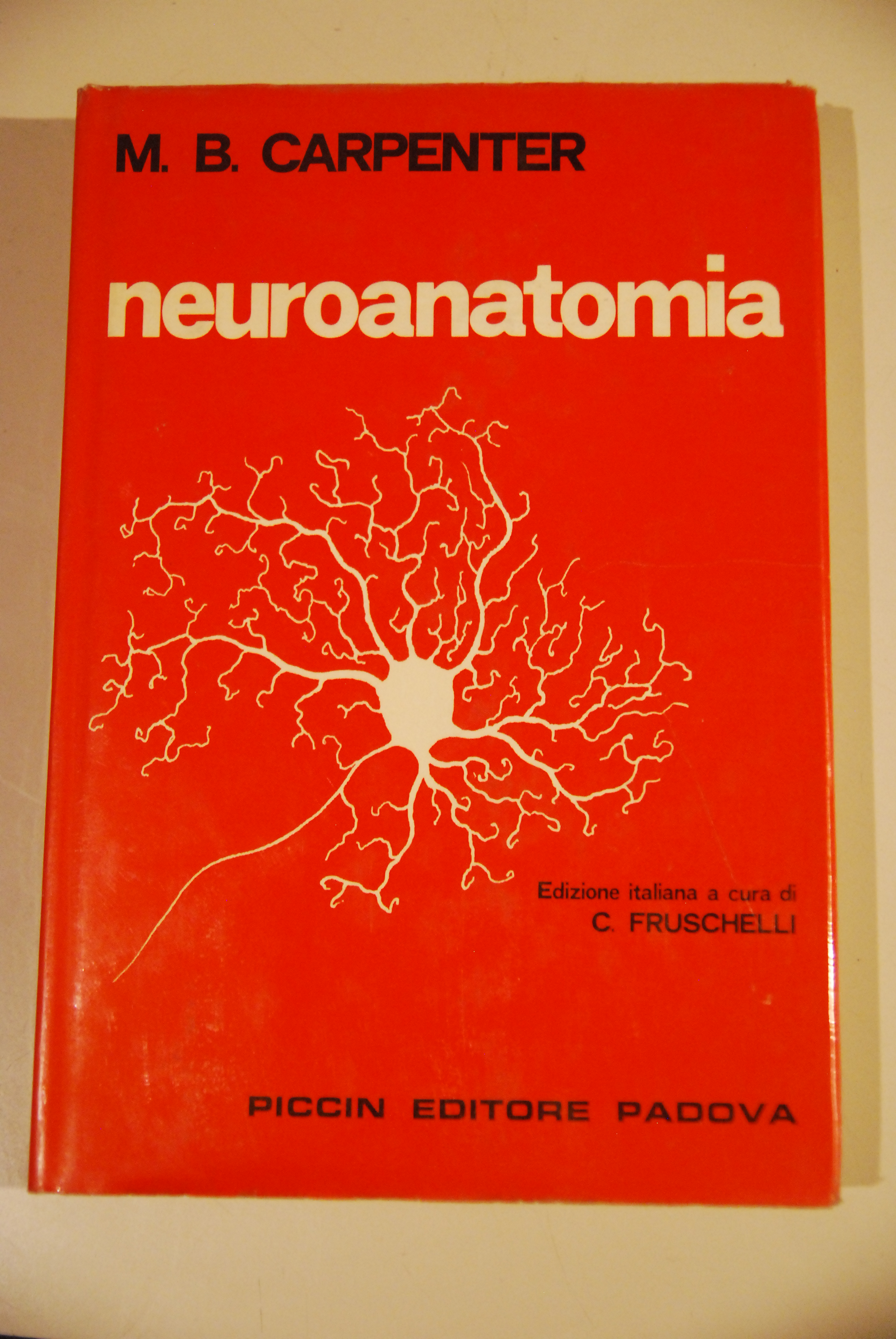 neuroanatomia NUOVISSIMO