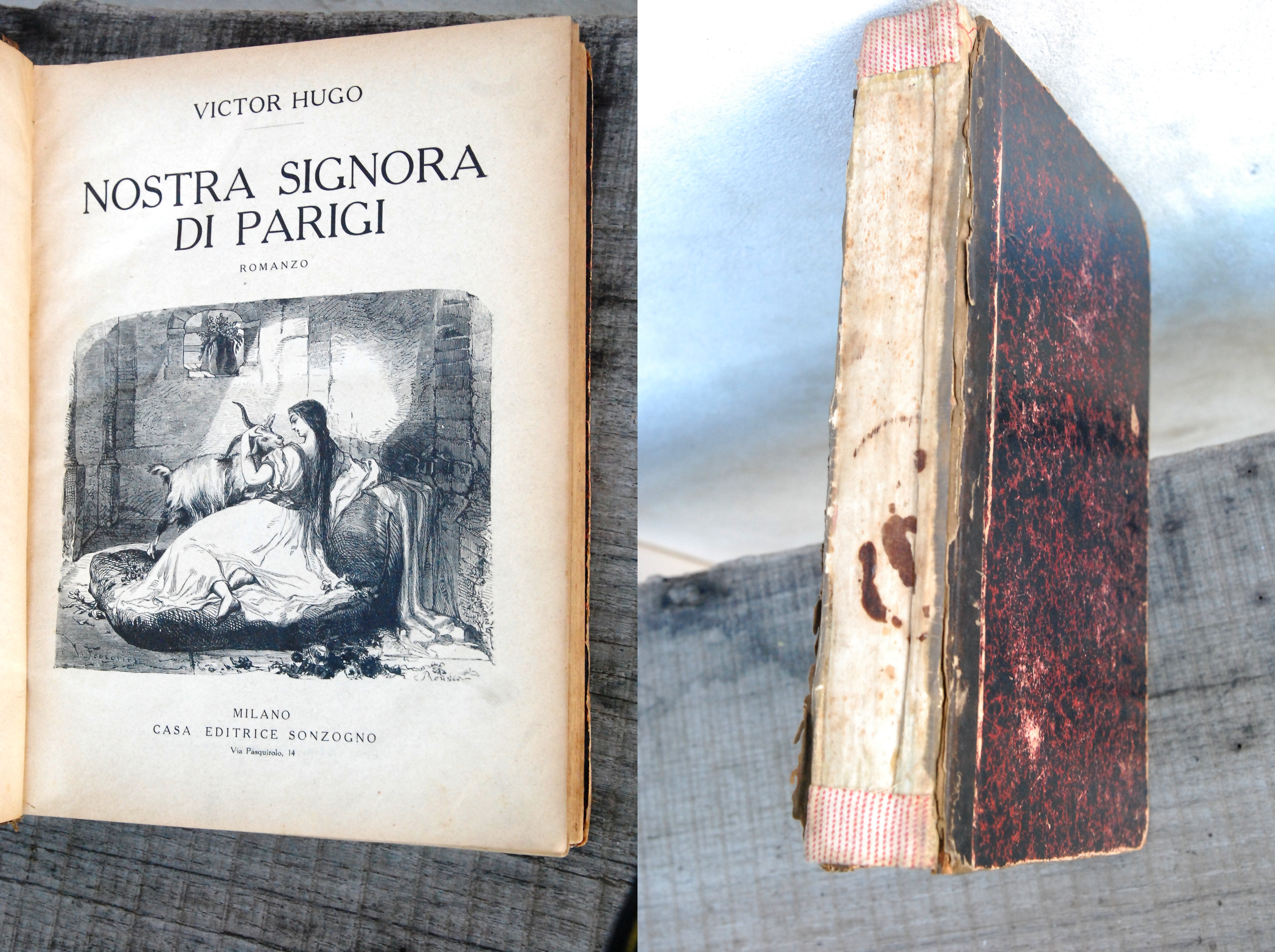 nostra signora di parigi nerbini