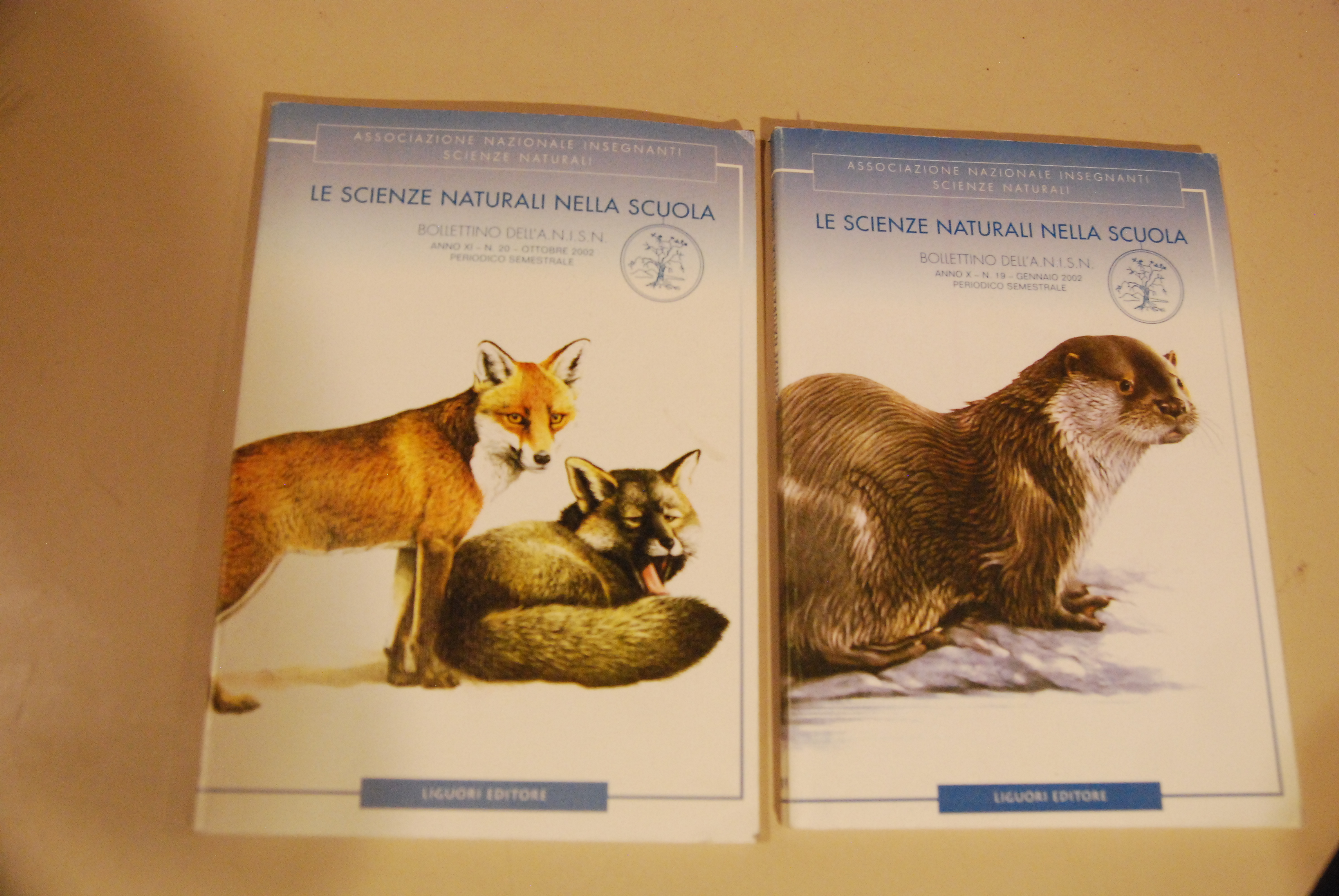 num. 19 e 20 del 2002