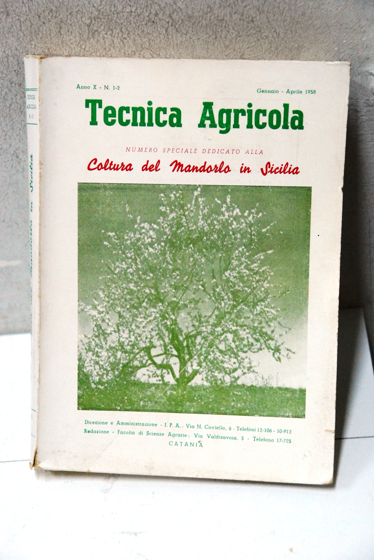 numero speciale coltura del mandorlo in sicilia