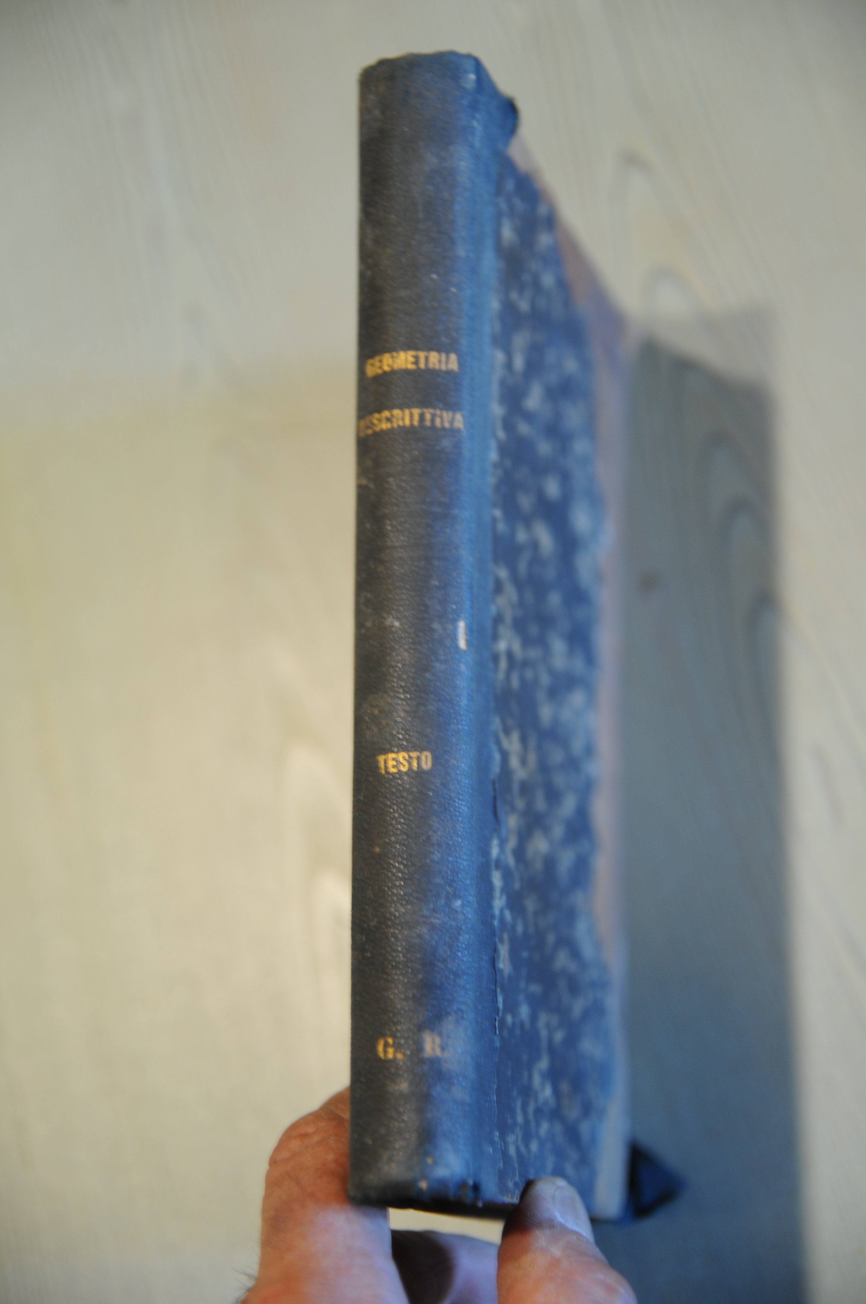 nuove lezioni di geometria descrittiva