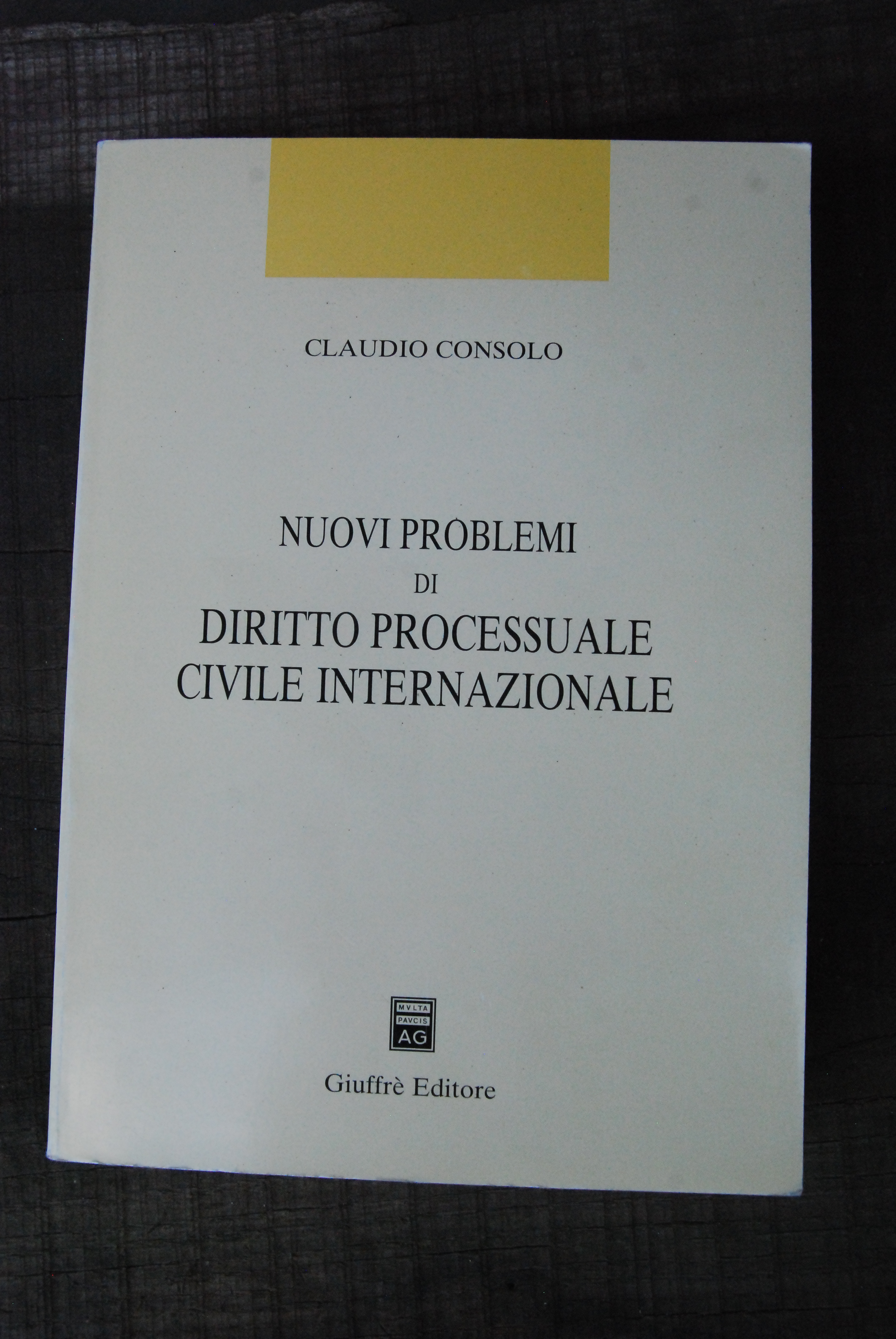 nuovi problemi di diritto processuale civile internazionale