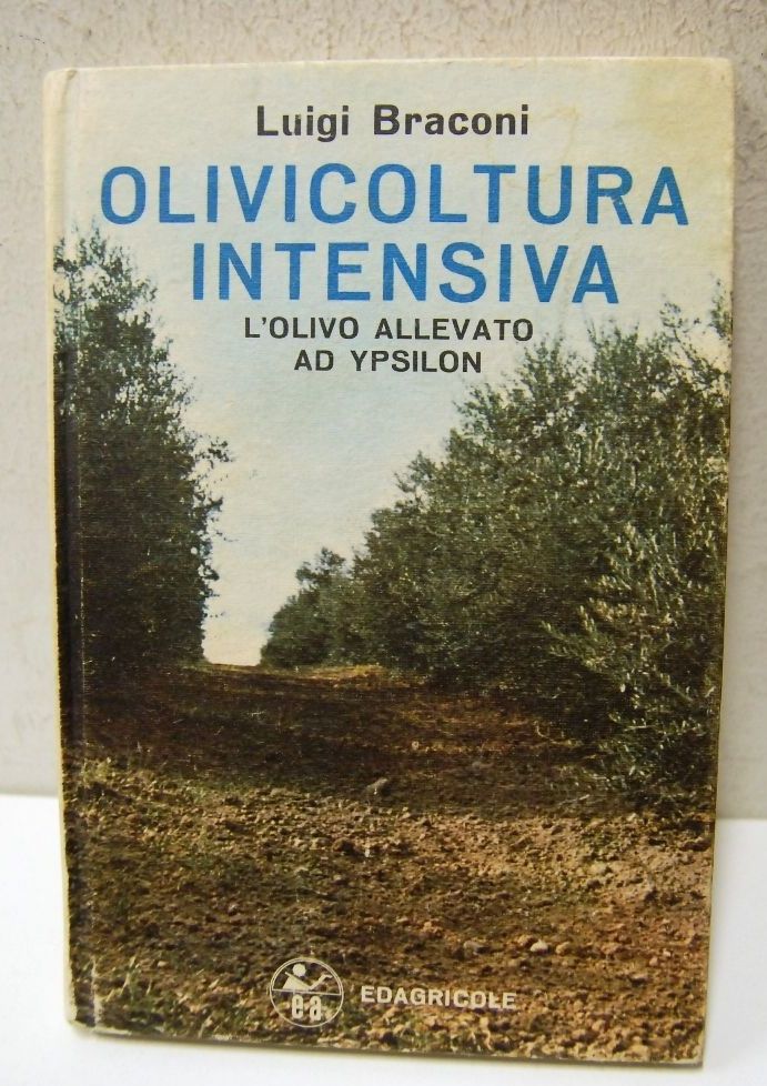 Olivicoltura intensiva ? l'olivo allevato ad ypsilon