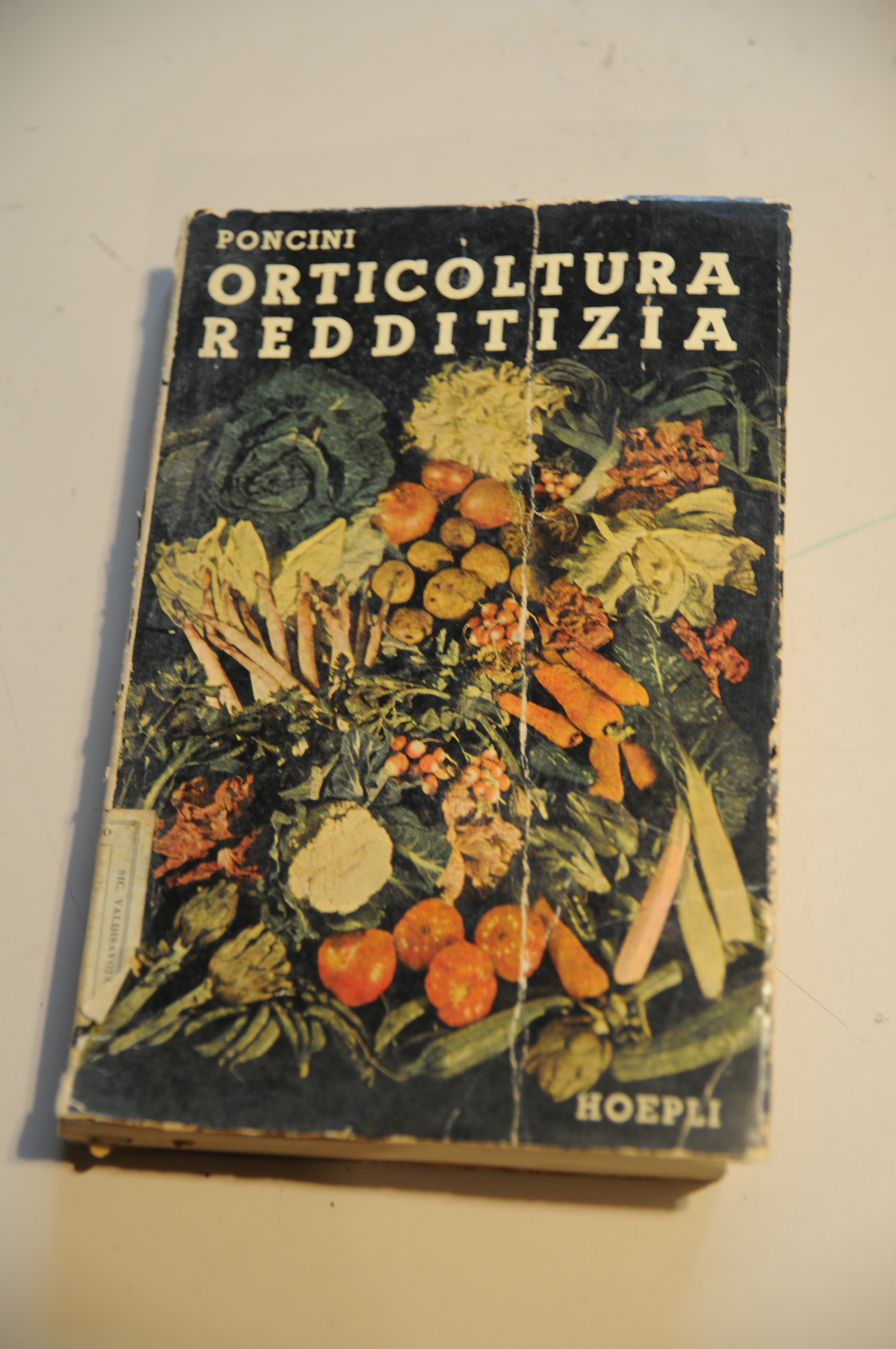 orticoltura redditizia hoepli (discrete cdz generali)