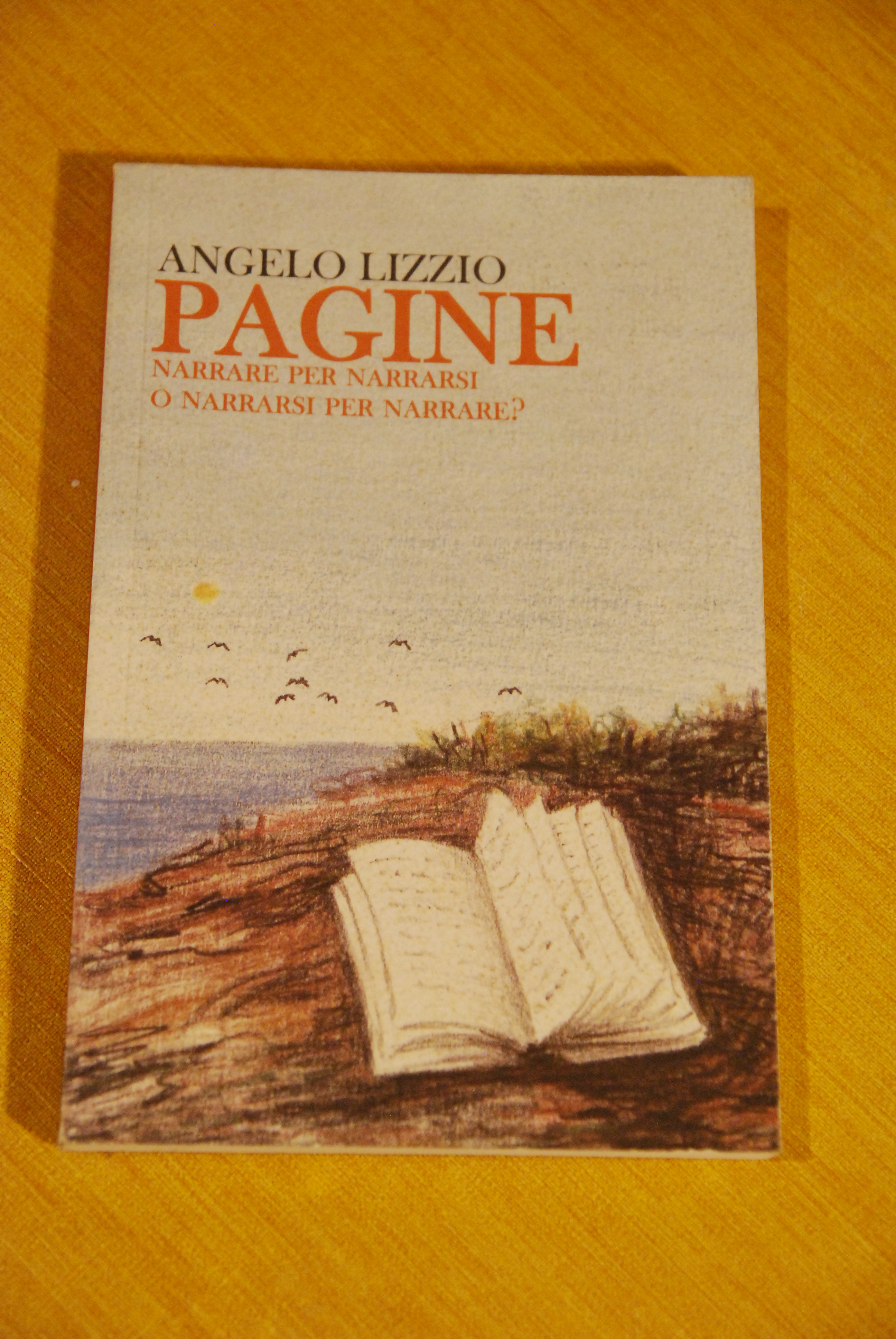 pagine narrare per narrarsi