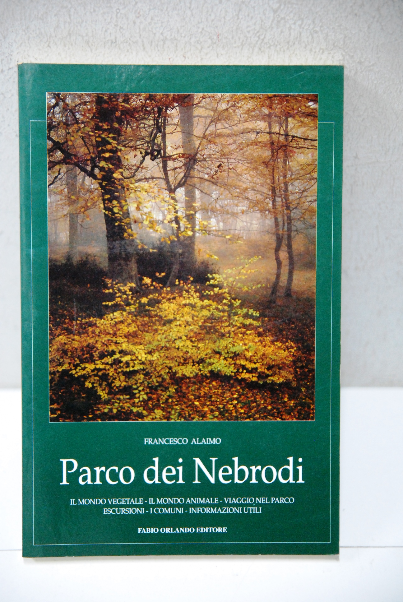parco dei nebrodi NUOVO