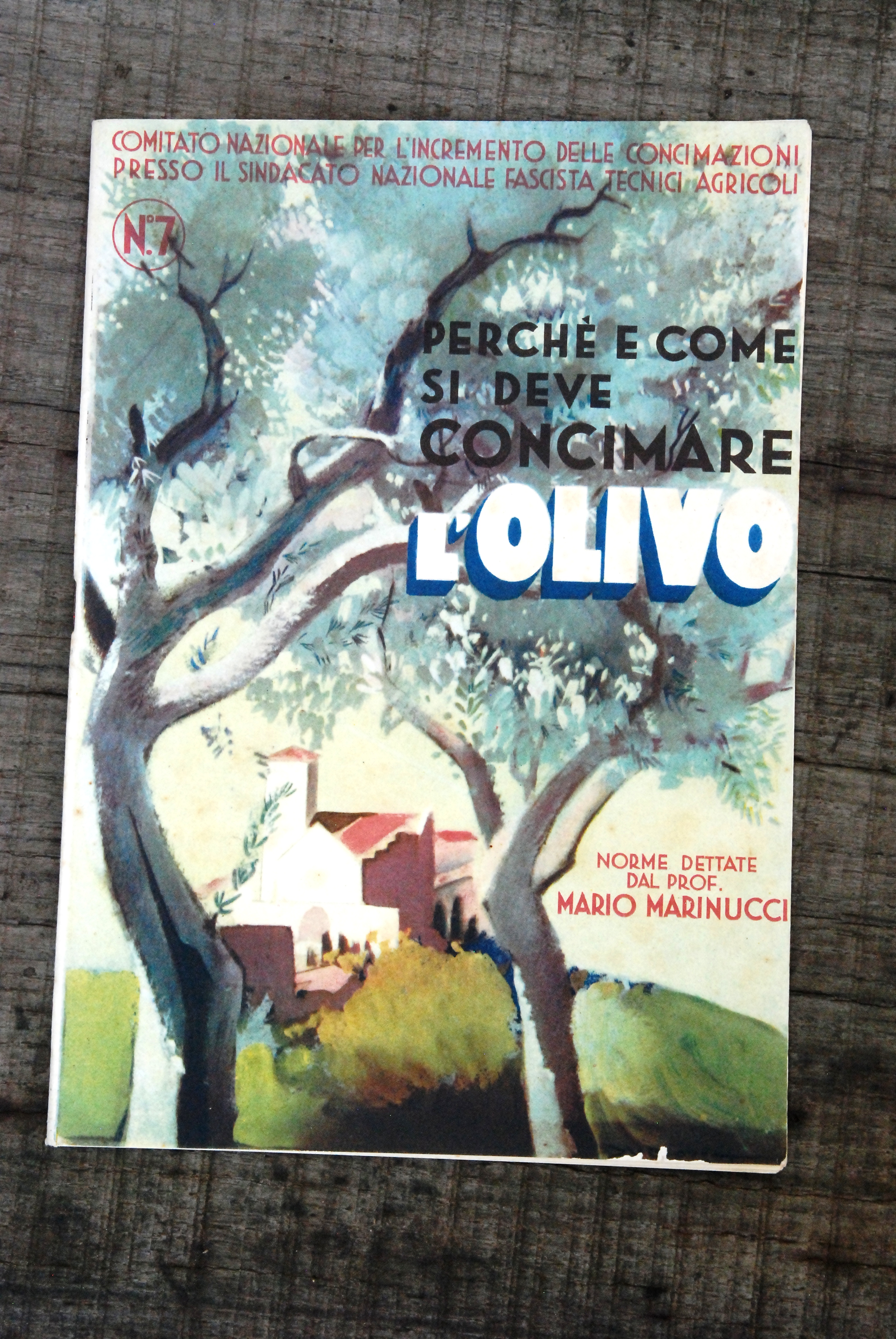 perchè perche' e come si deve concimare l'olivo NUOVO