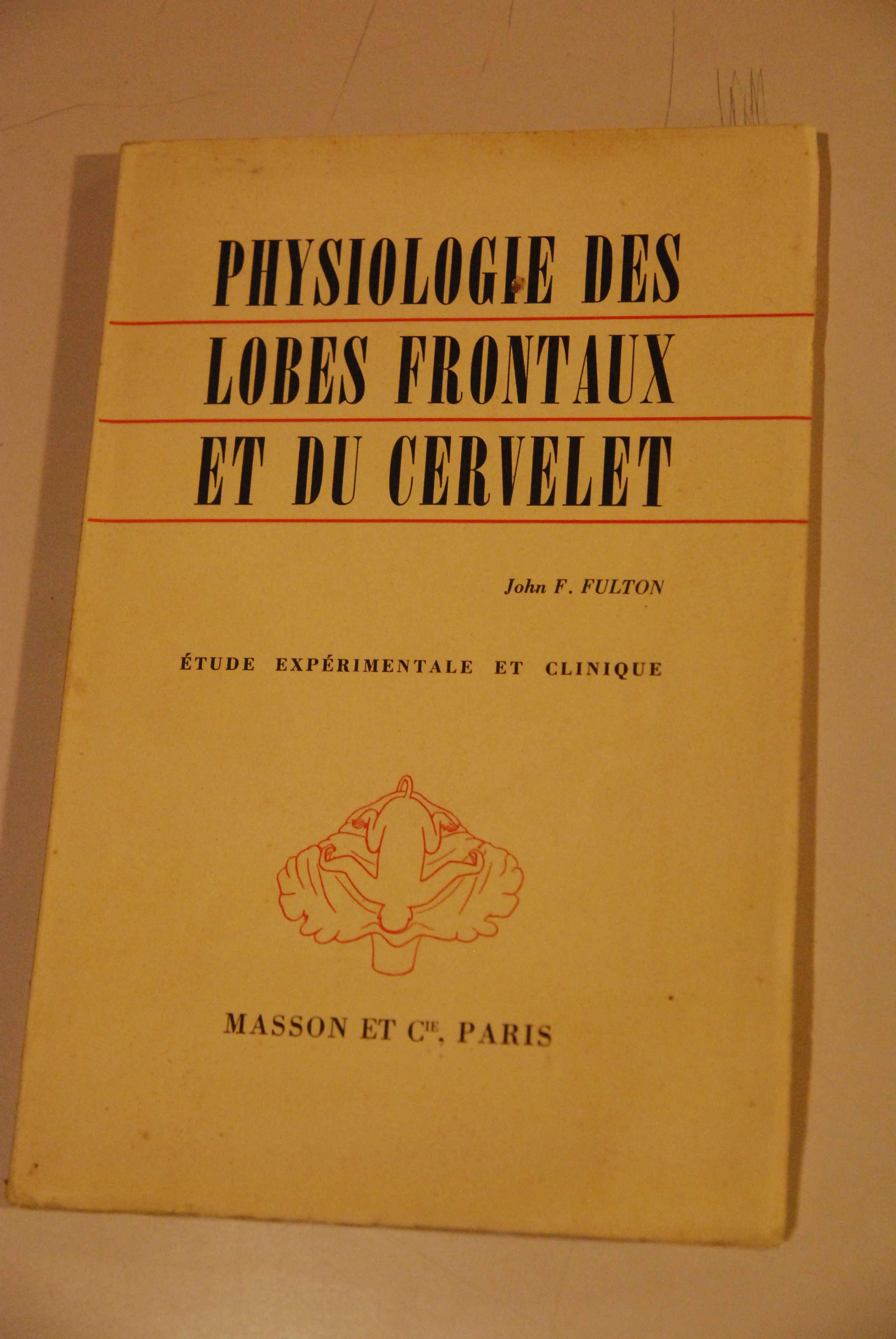 physiologie des lobes frontaux et du cervelet