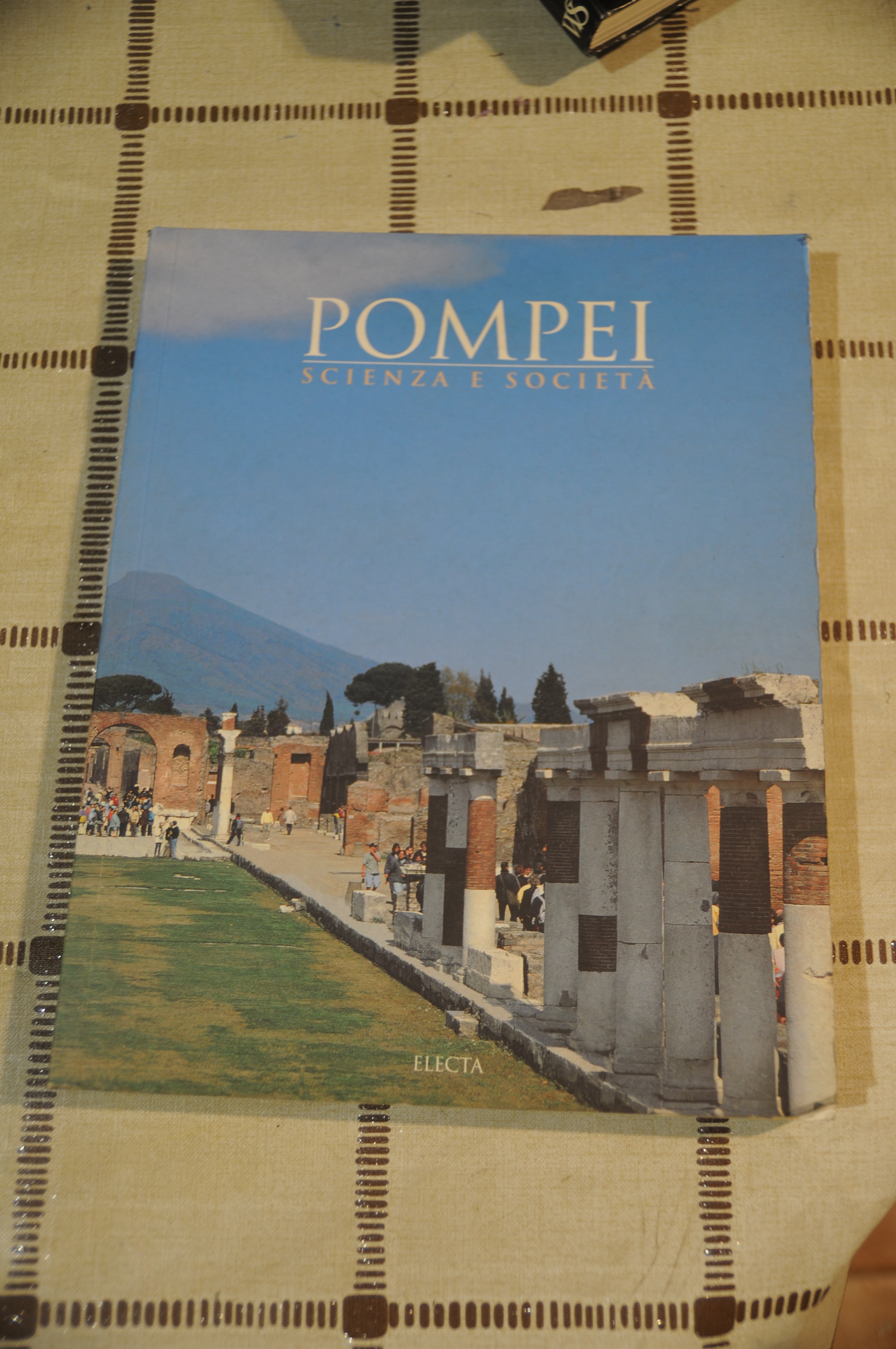 pompei scienza e società NUOVISSIMO