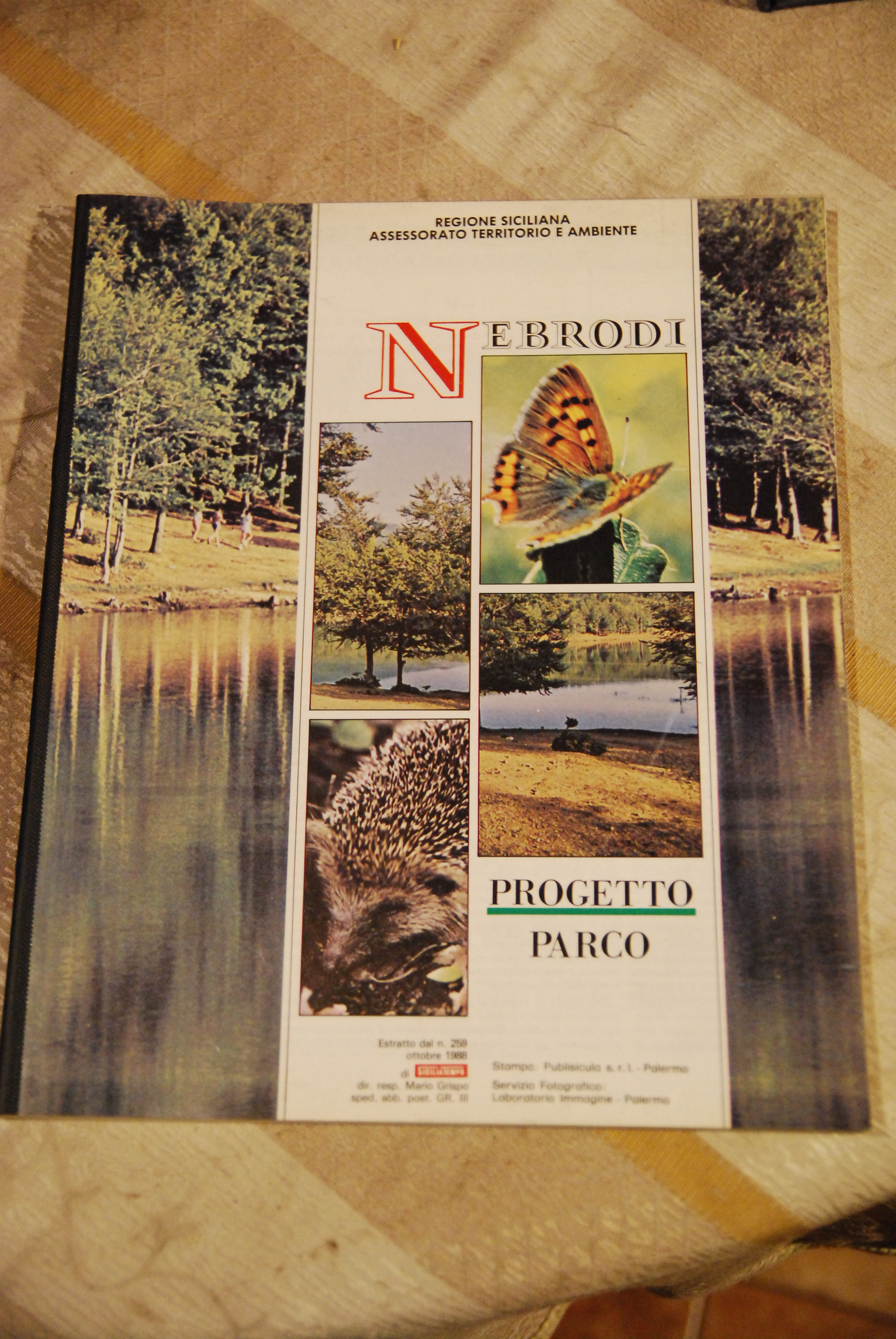 progetto parco 1988
