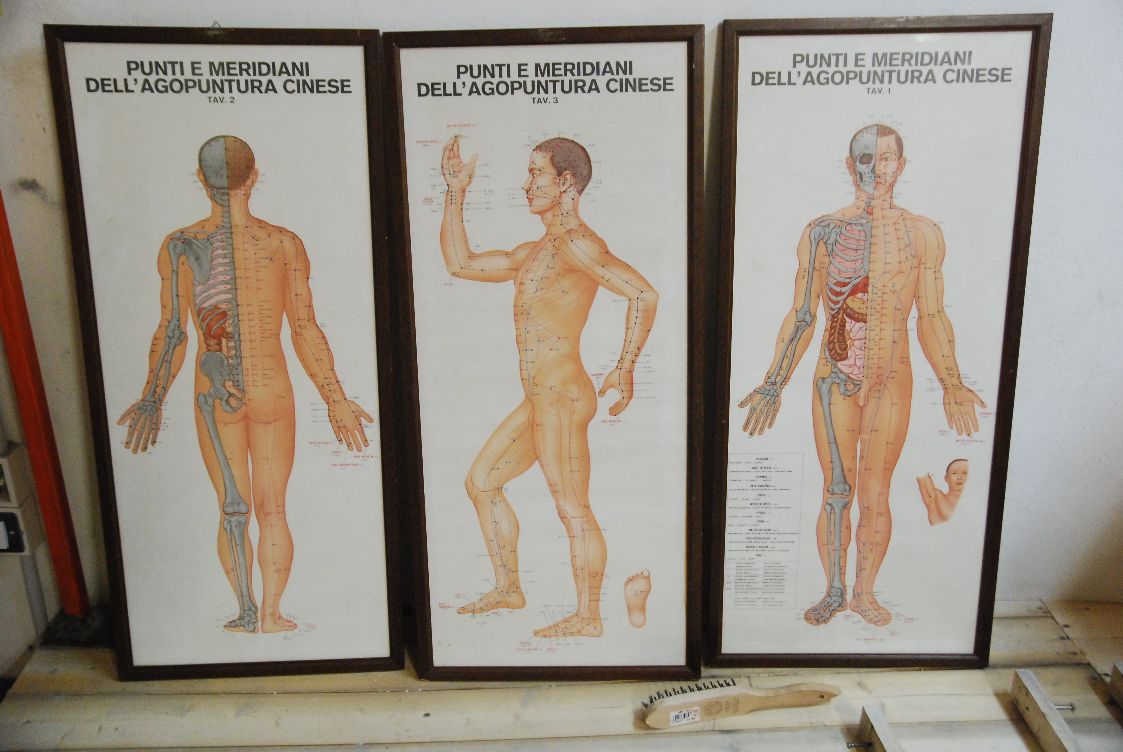 punti e meridiani dell'agopuntura cinese tav. 1, 2, 3 tre …