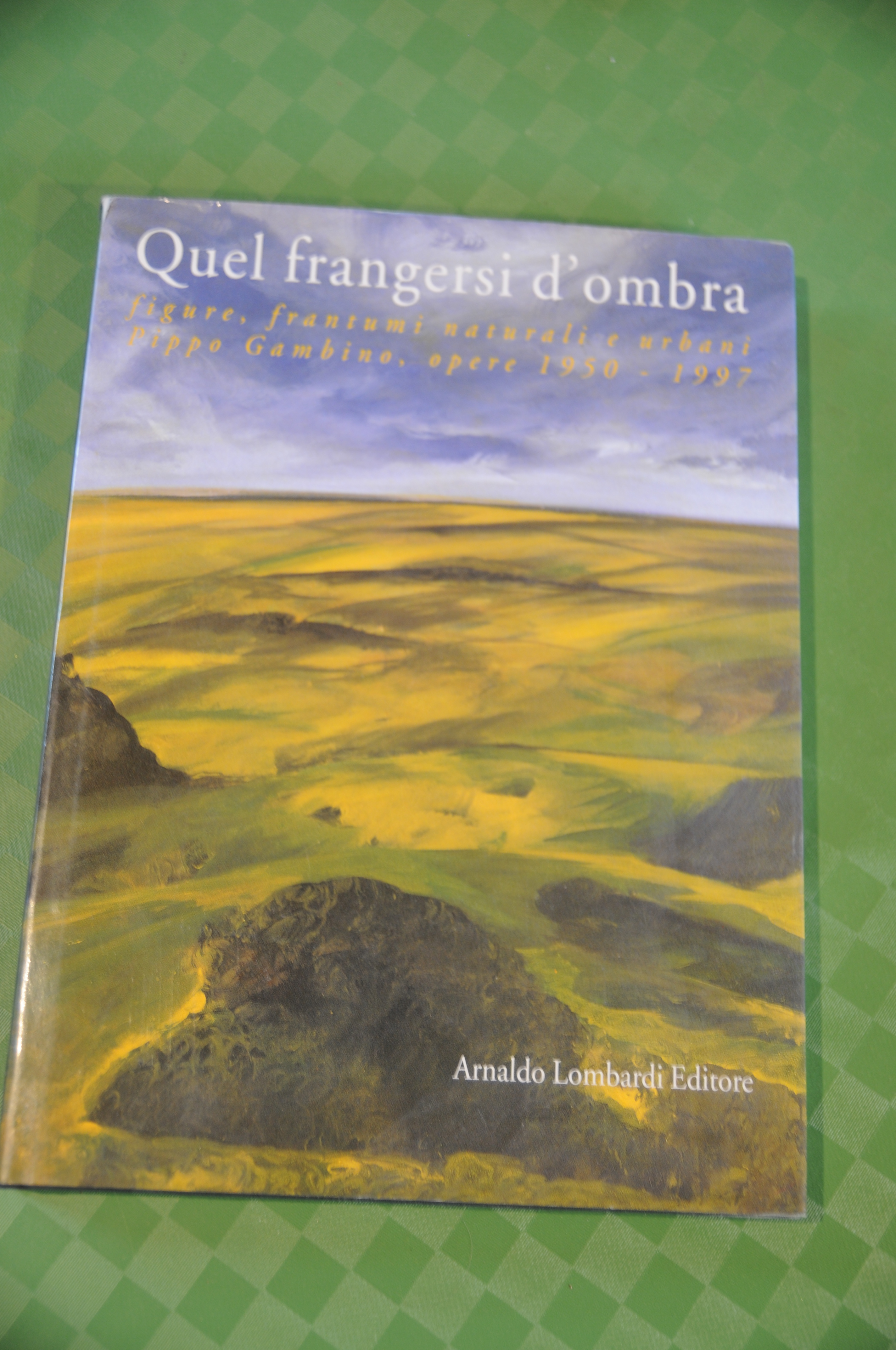 quel frangersi d'ombra NUOVO