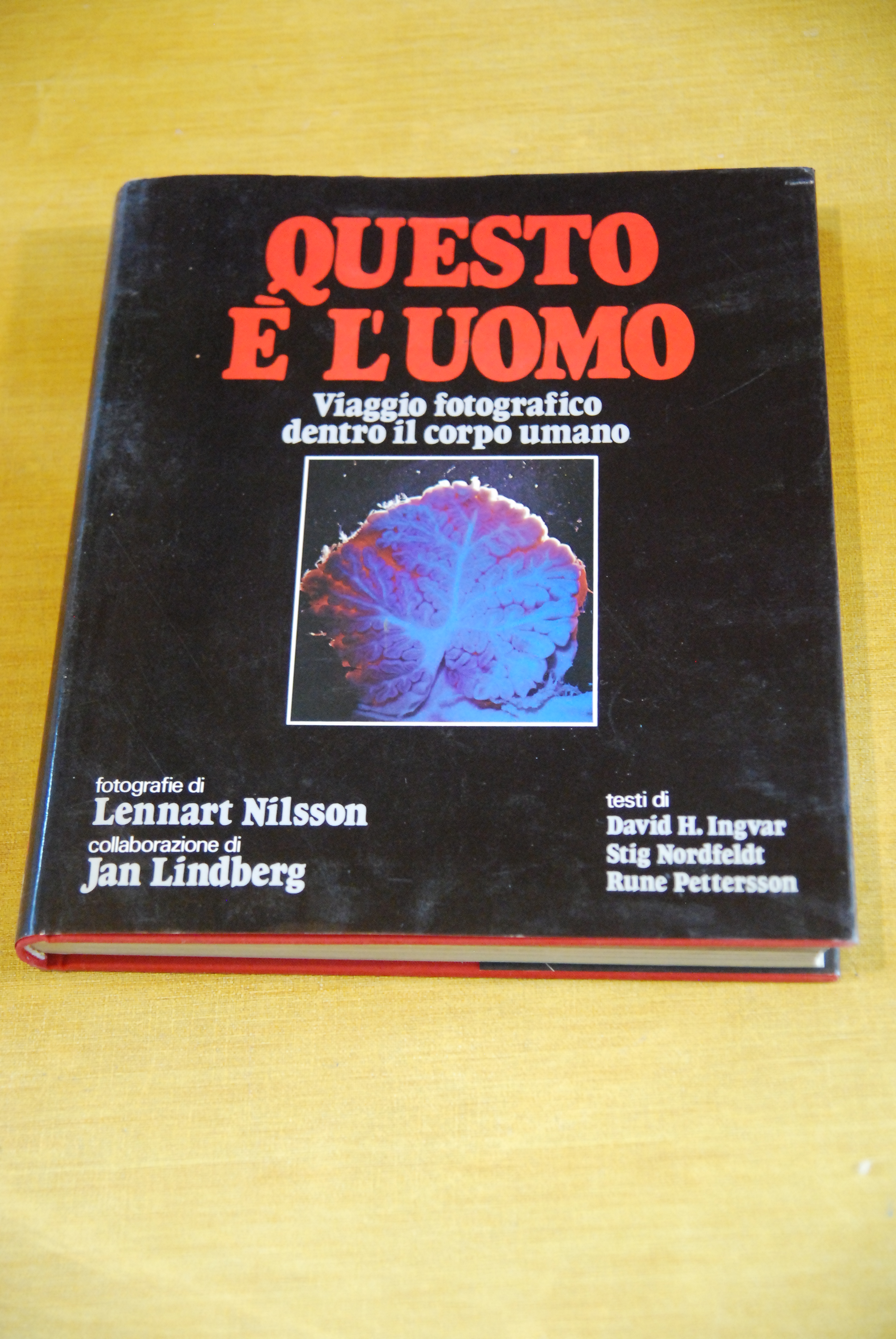 questo è l'uomo viaggio fotografico dentro il corpo umano