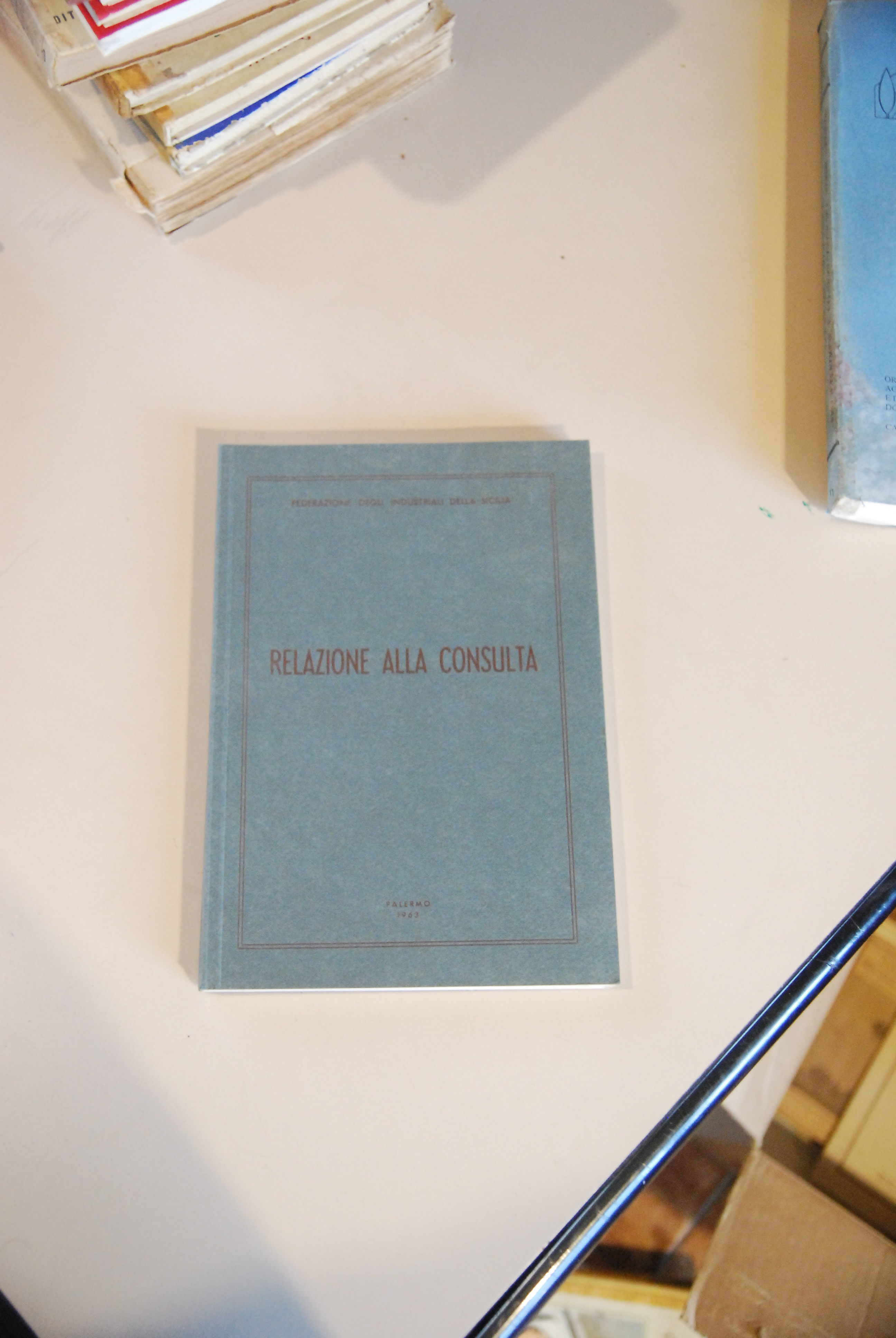 relazione alla consulta NUOVO