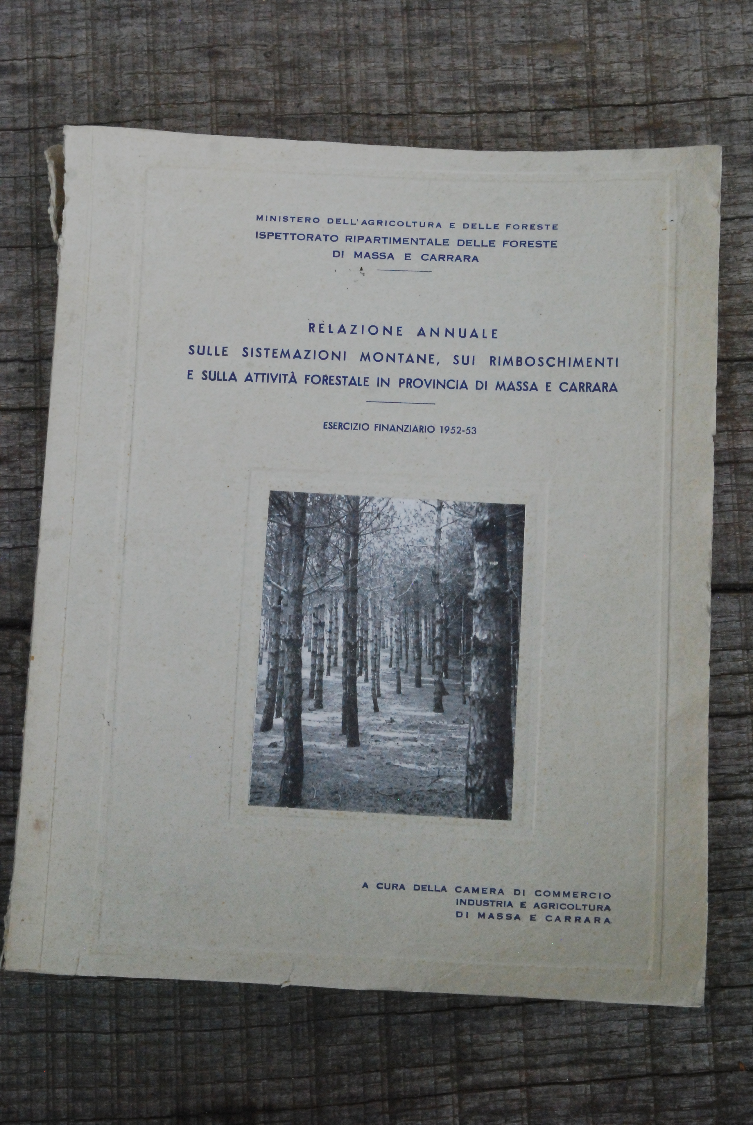 relazione annuale sulle sistemazioni montane sui rimboschimenti e attività forestale …