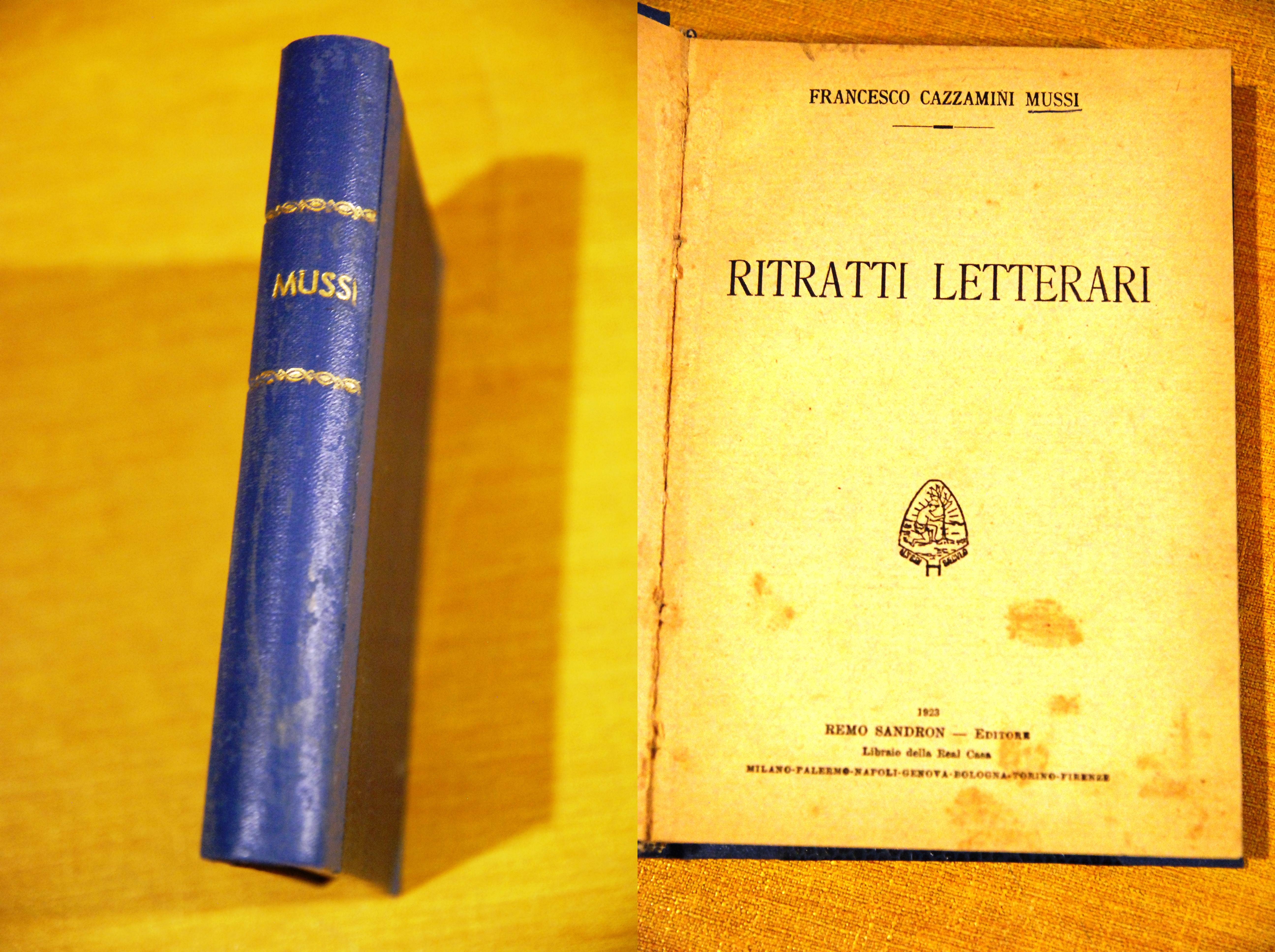 ritratti letterari