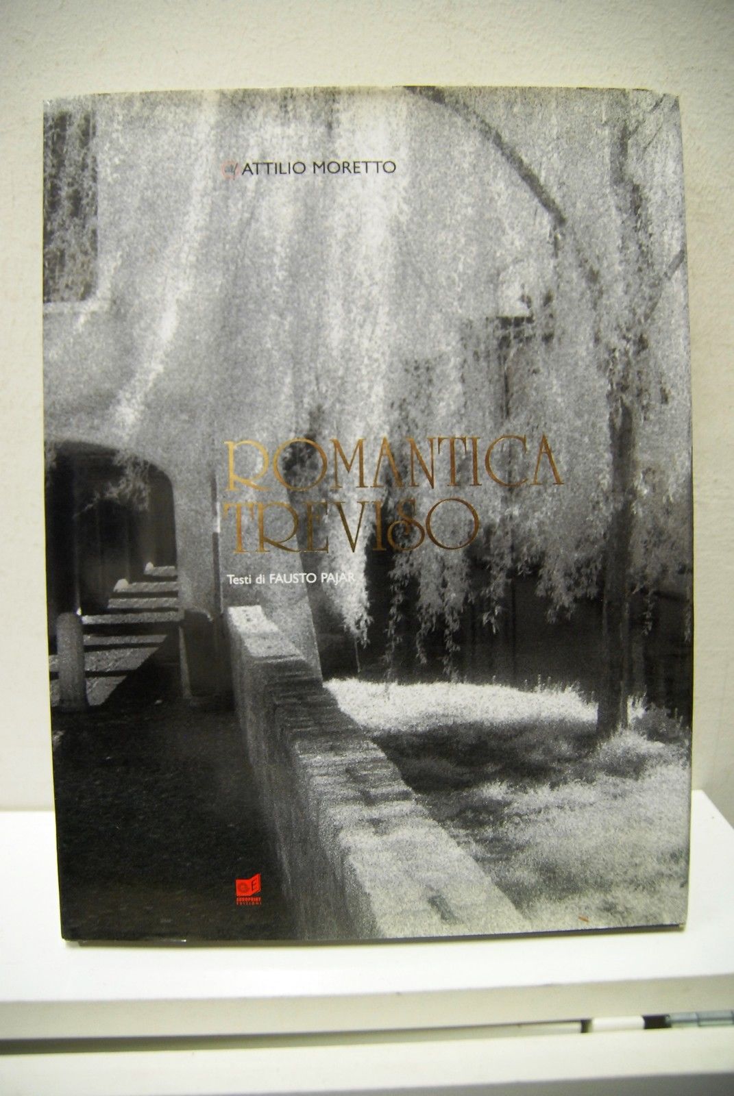 Romantica Treviso, con testi di Fausto Papajar