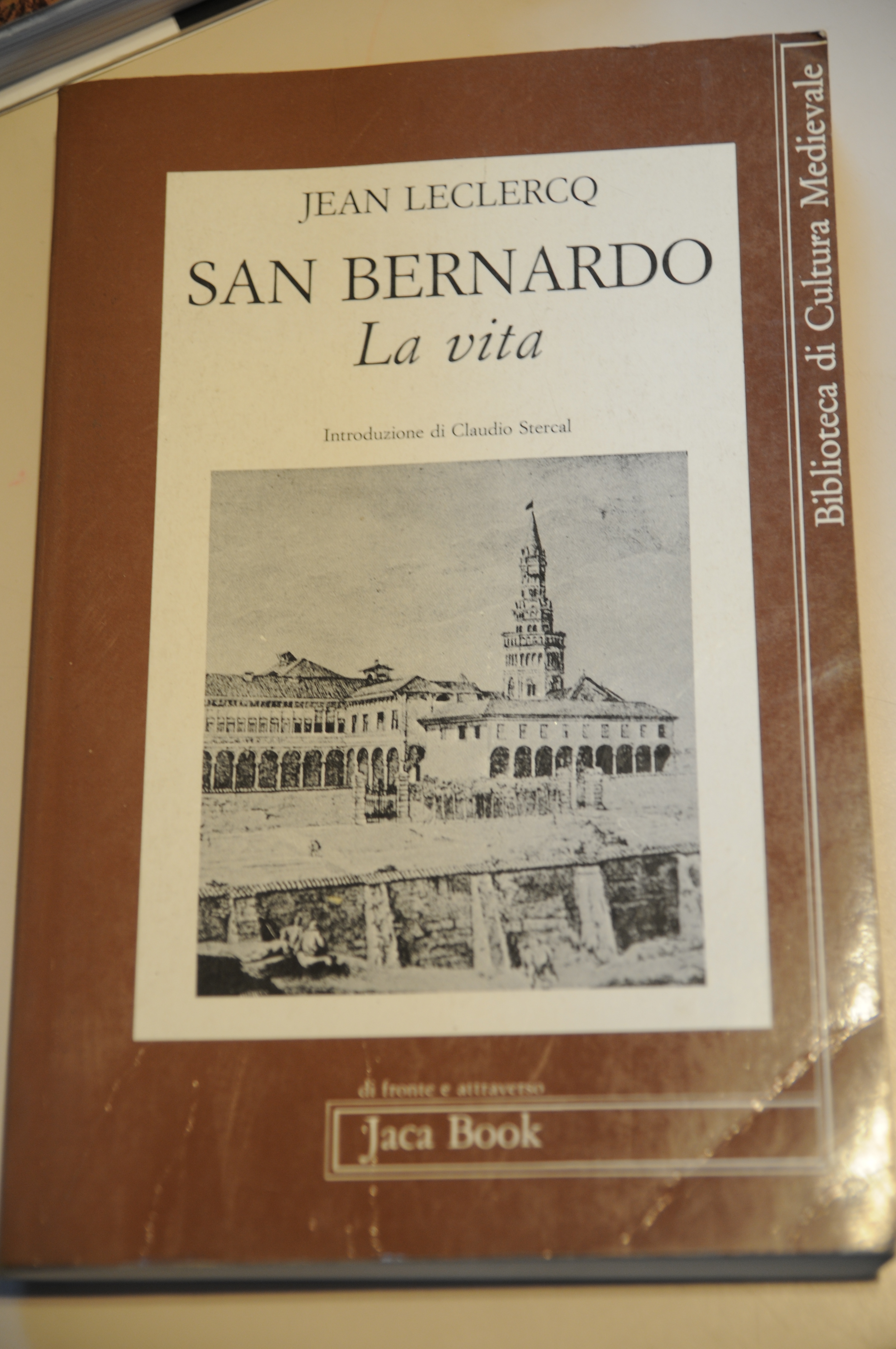 san bernardo la vita NUOVO
