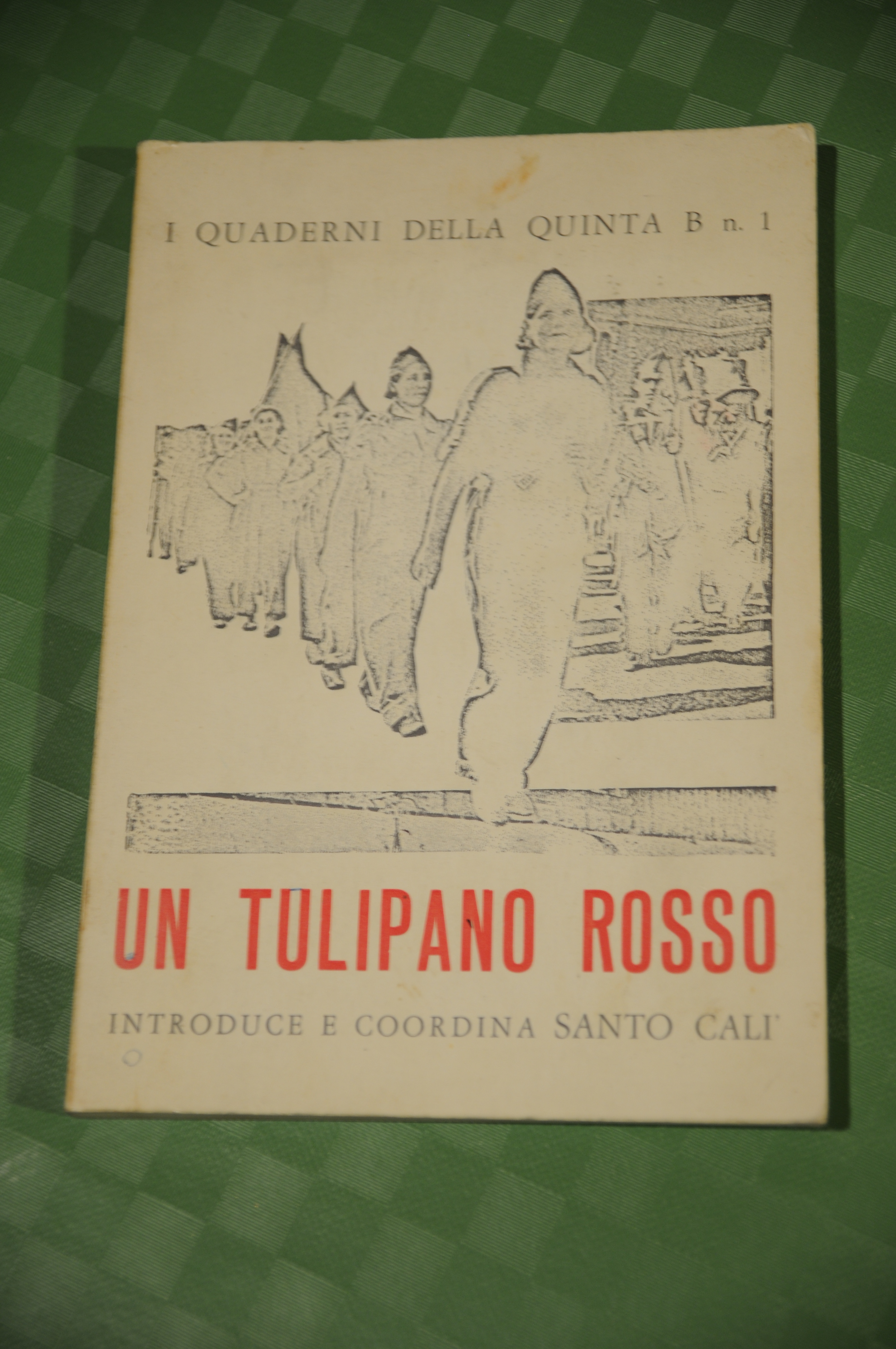 santo cali' calì un tulipano rosso autografato con dedica