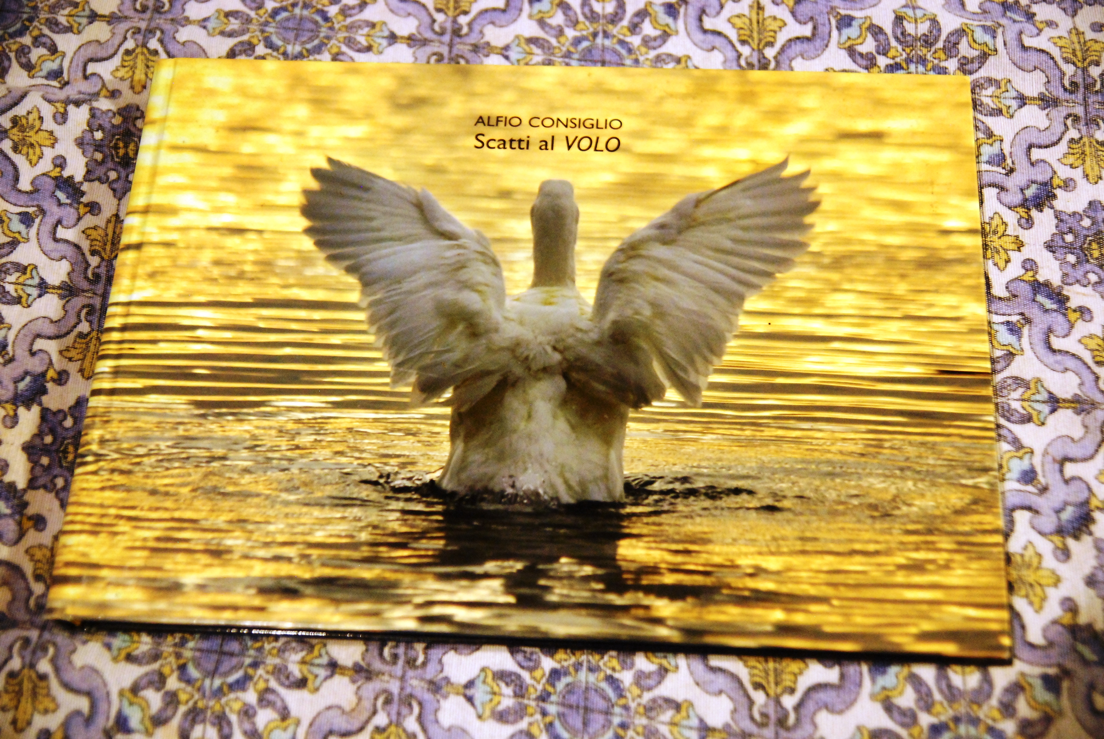 scatti al volo NUOVO