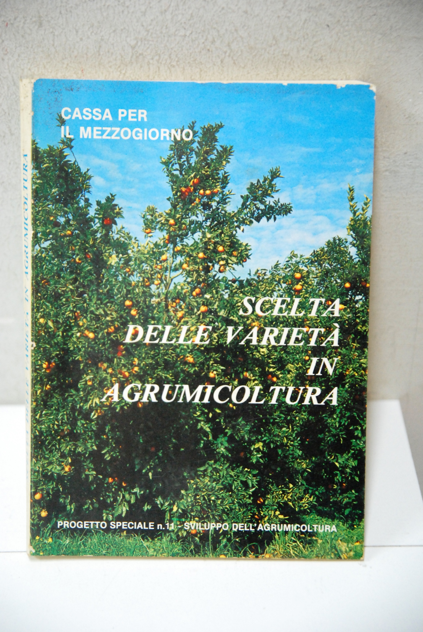 scelta delle varietà in agrumicoltura NUOVO