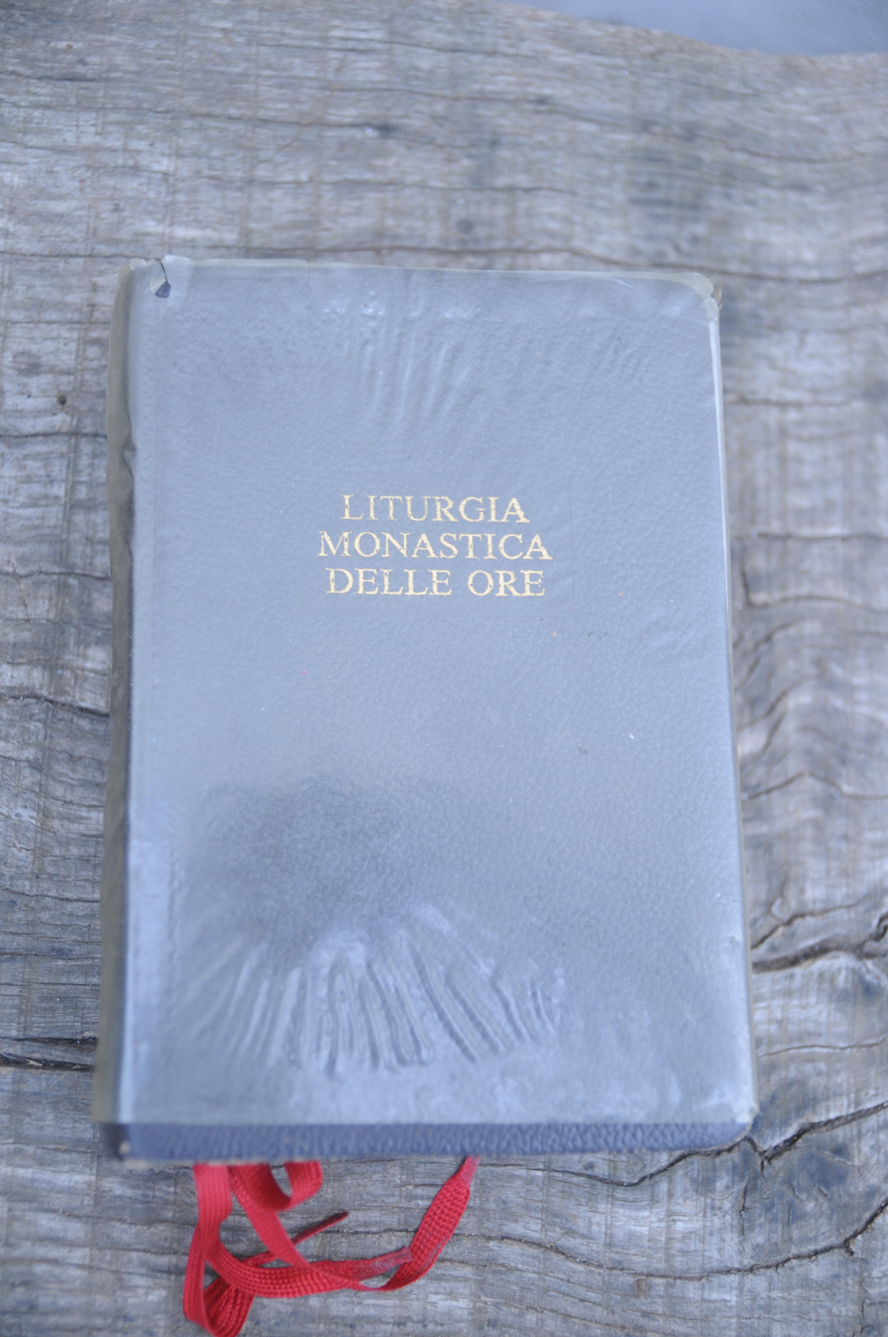 SCHEMA B SCRITTI MONASTICI nuovissimo