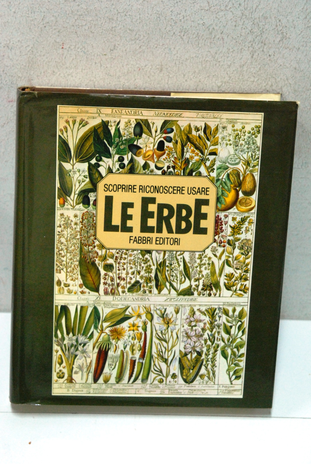 scoprire riconoscere usare le erbe