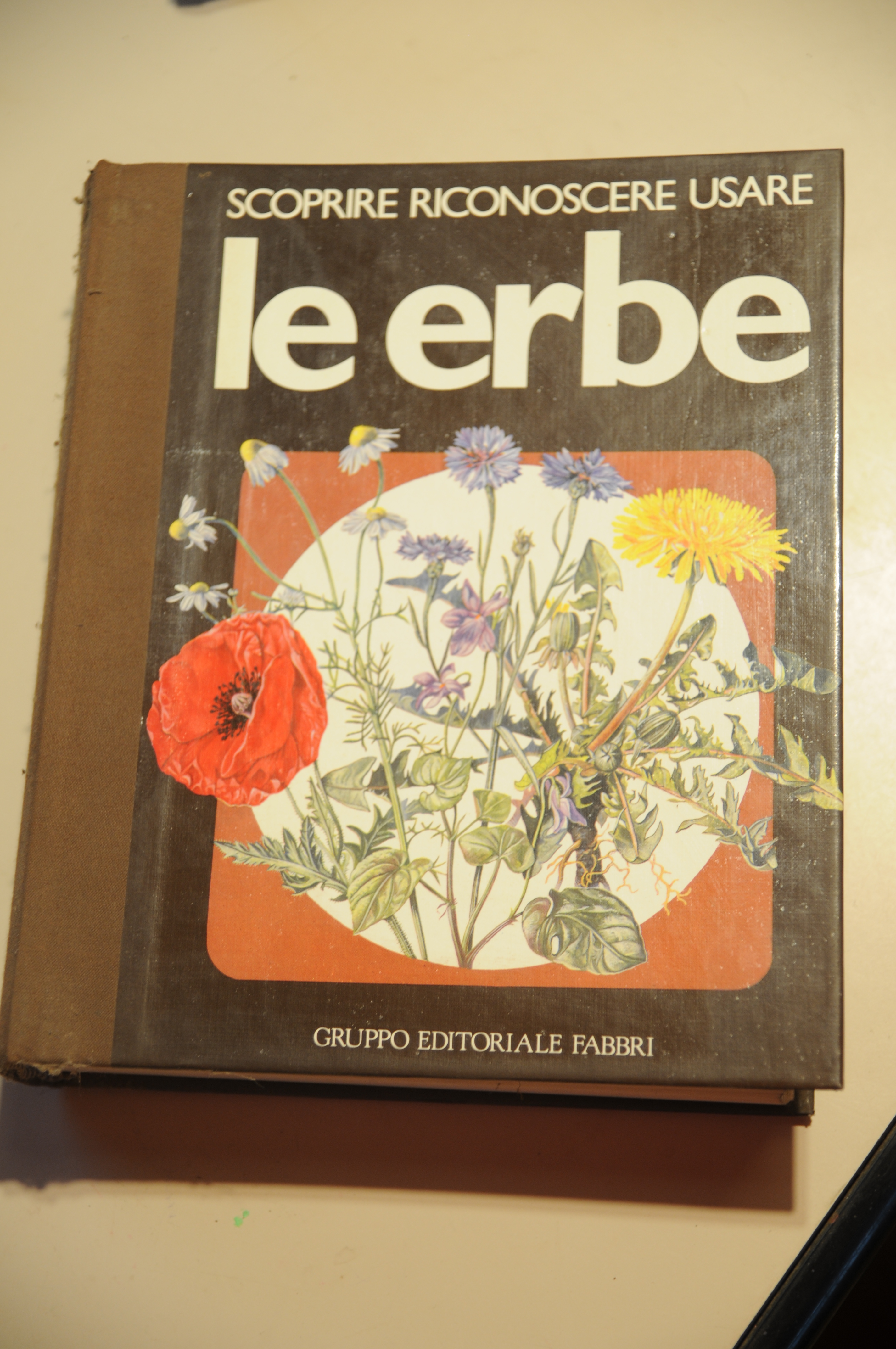 scoprire riconoscere usare le erbe NUOVO fabbri (firma di possesso)