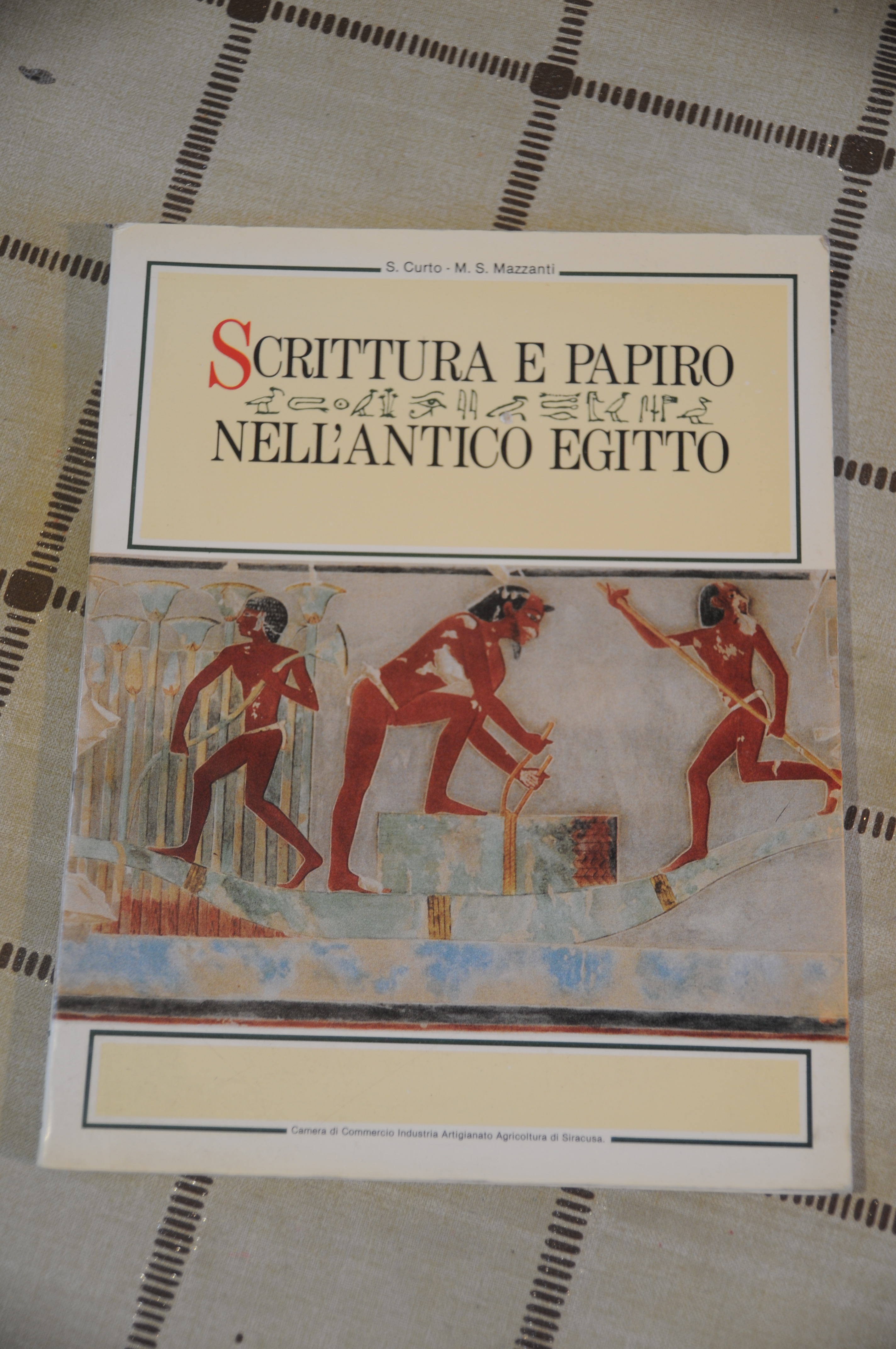 scrittura e papiro nell'antico egitto NUOVISSIMO