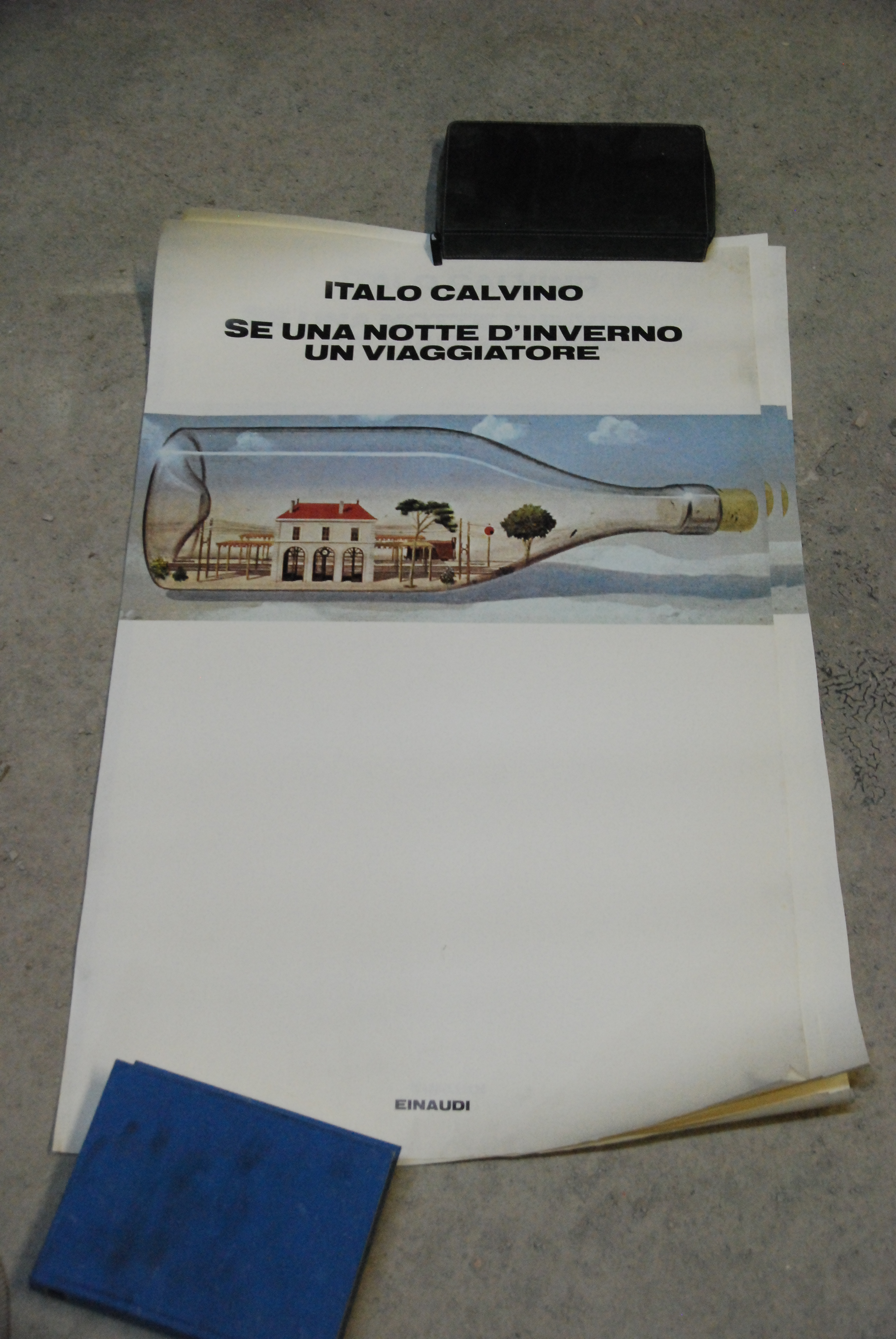 se una notte d'inverno un viaggiatore