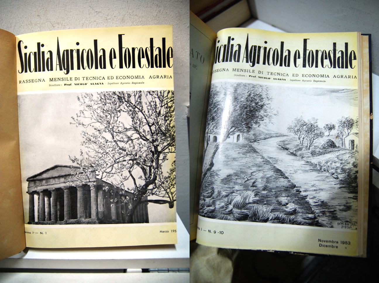 Sicilia agricola e forrestale