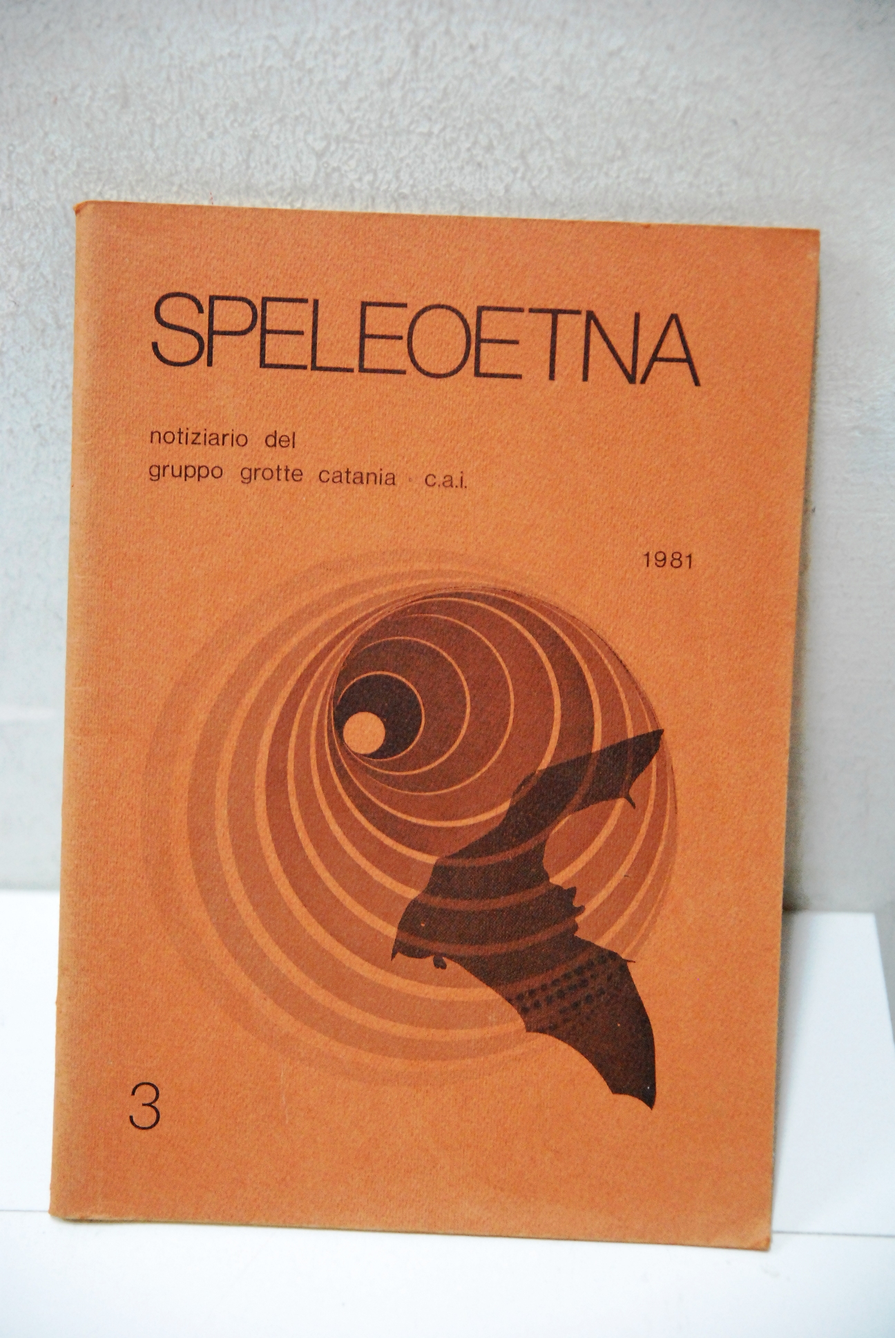 SPELEOETNA notiziario del gruppo grotte catania 1981 n. 3