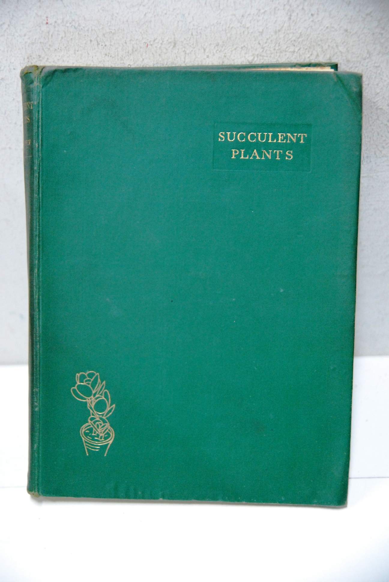 Succulent plants descriptions cultivation and uses of succulent plants