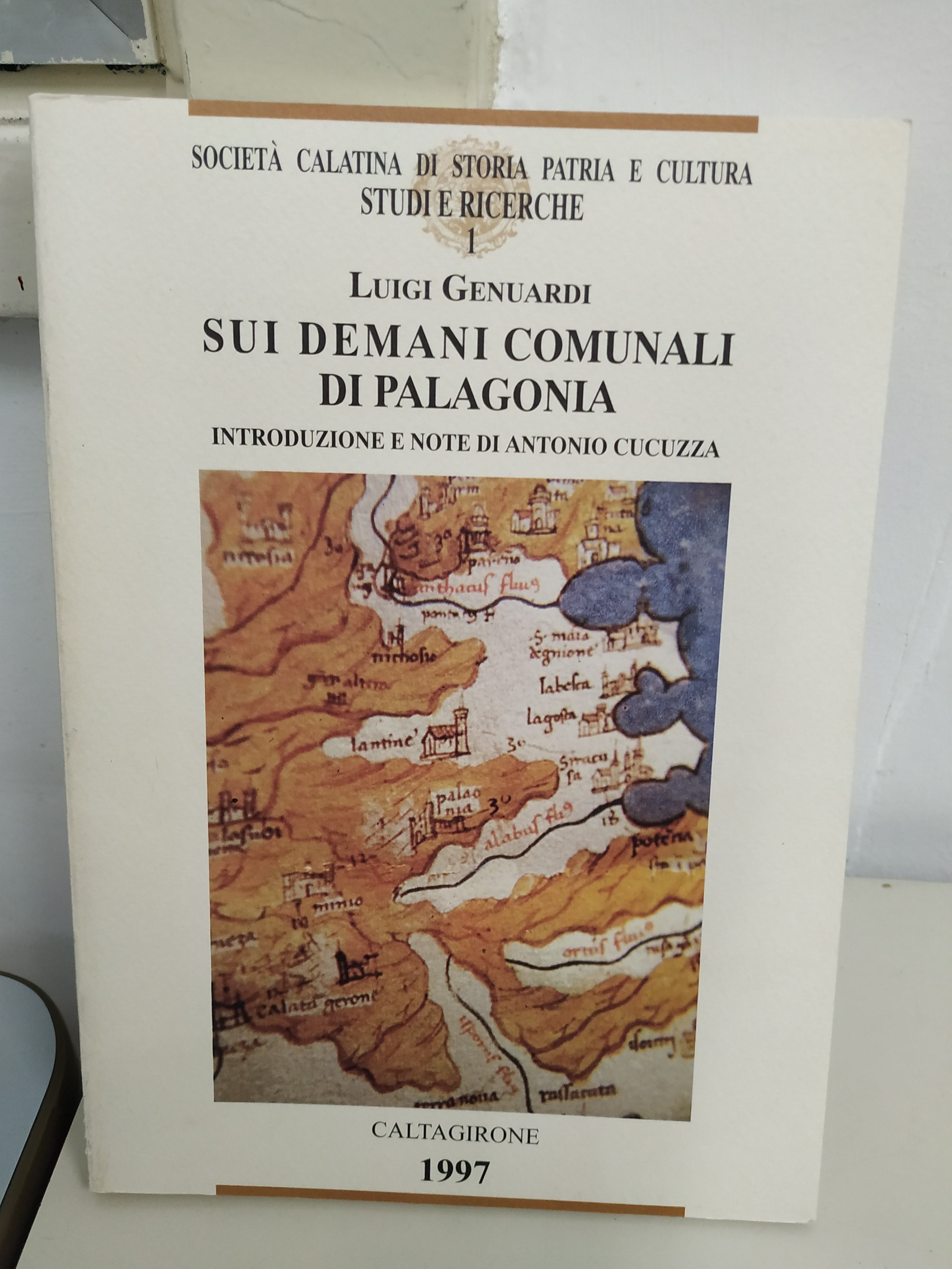 sui demani comunali di palagonia NUOVO