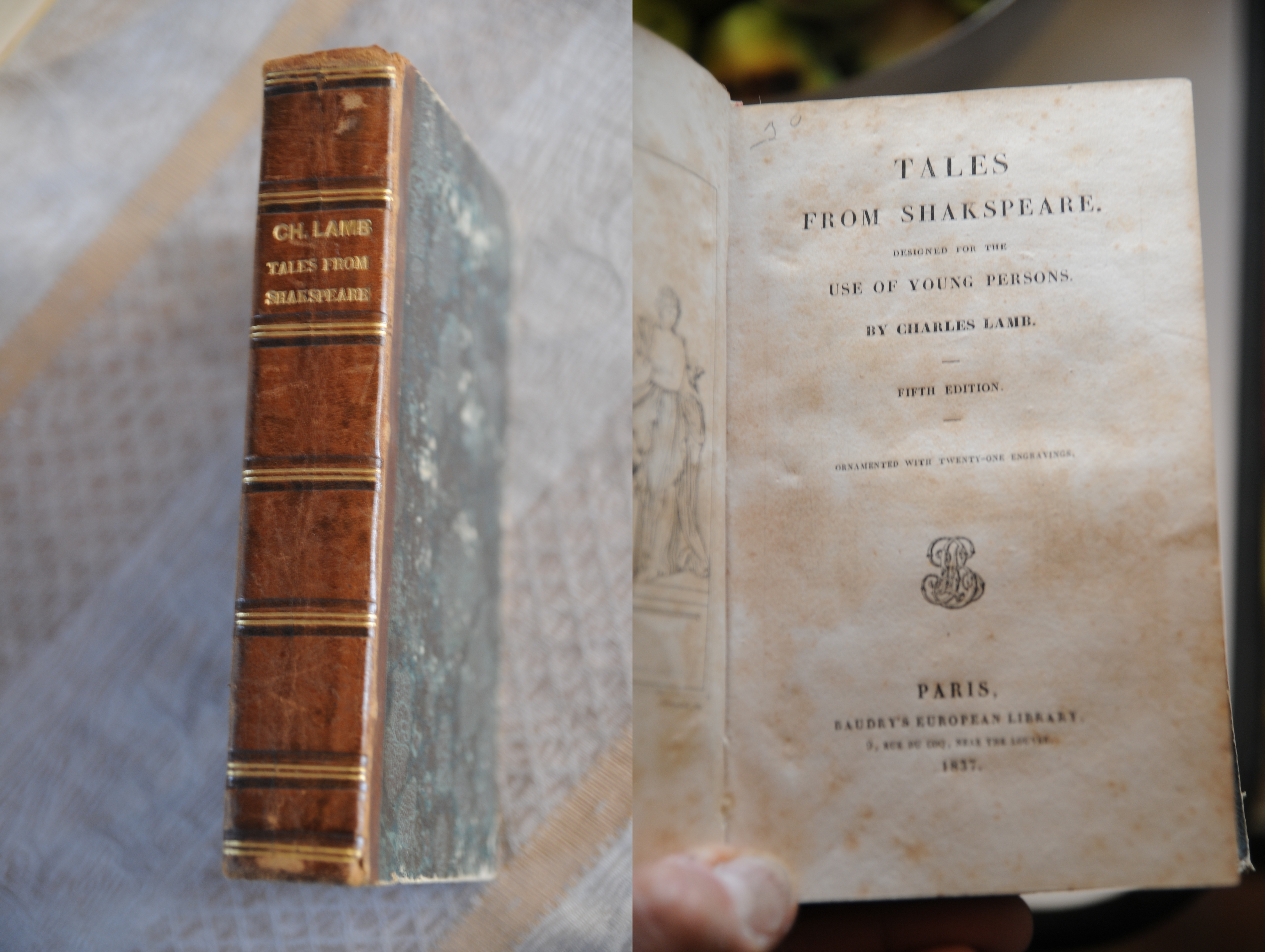 tales from shakespeare designed for the use of young persons