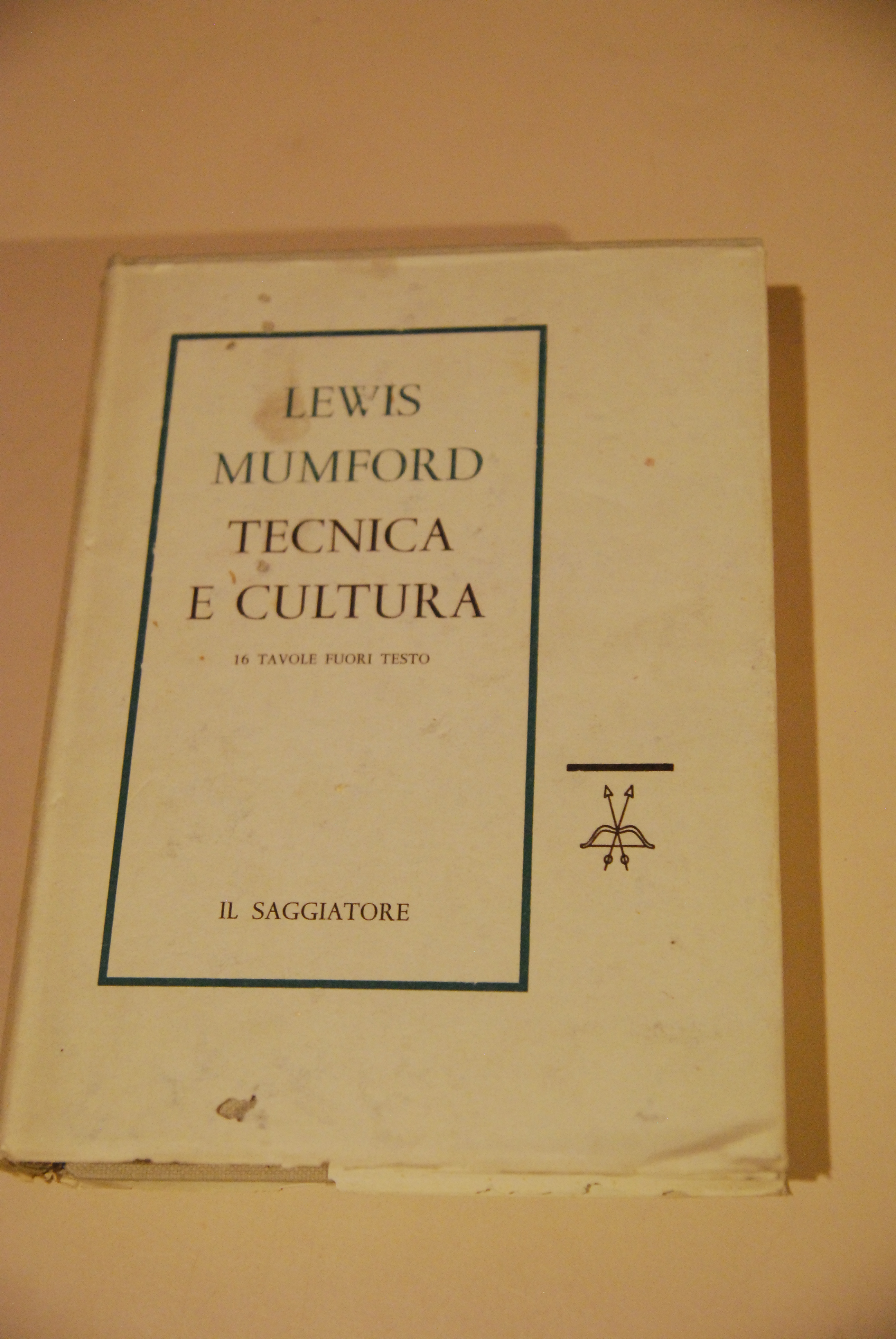 tecnica e cultura