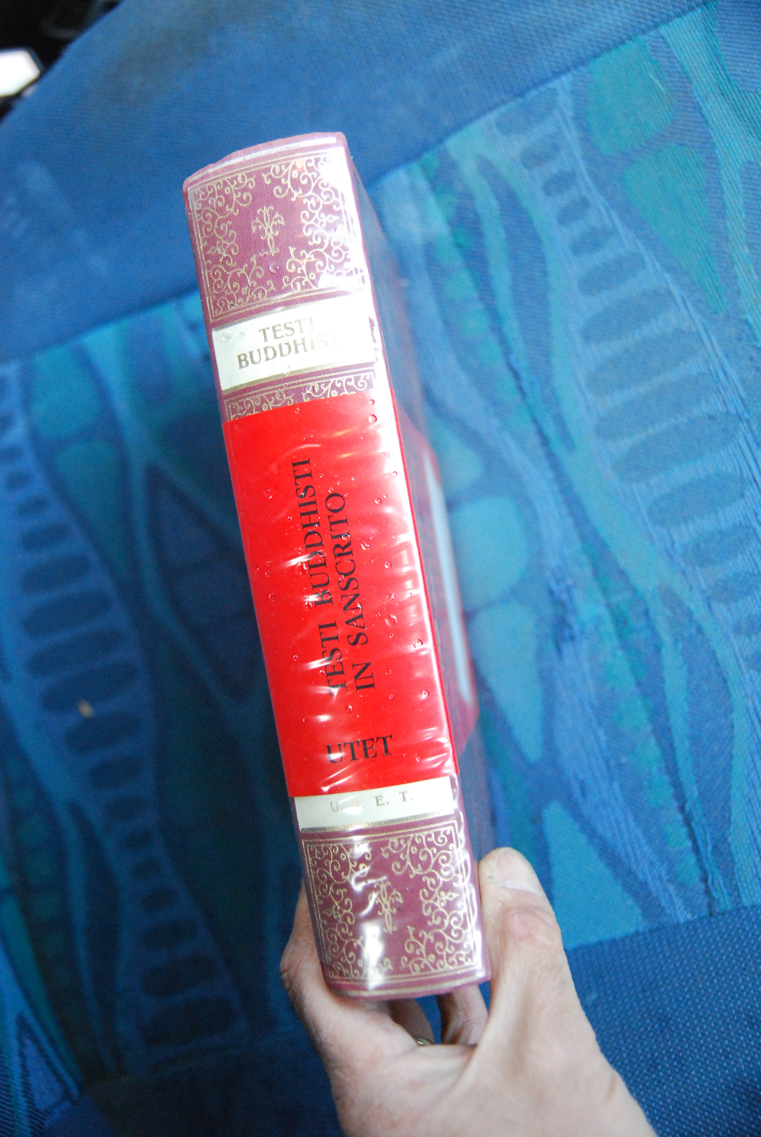 testi buddhisti in sanscrito NUOVO