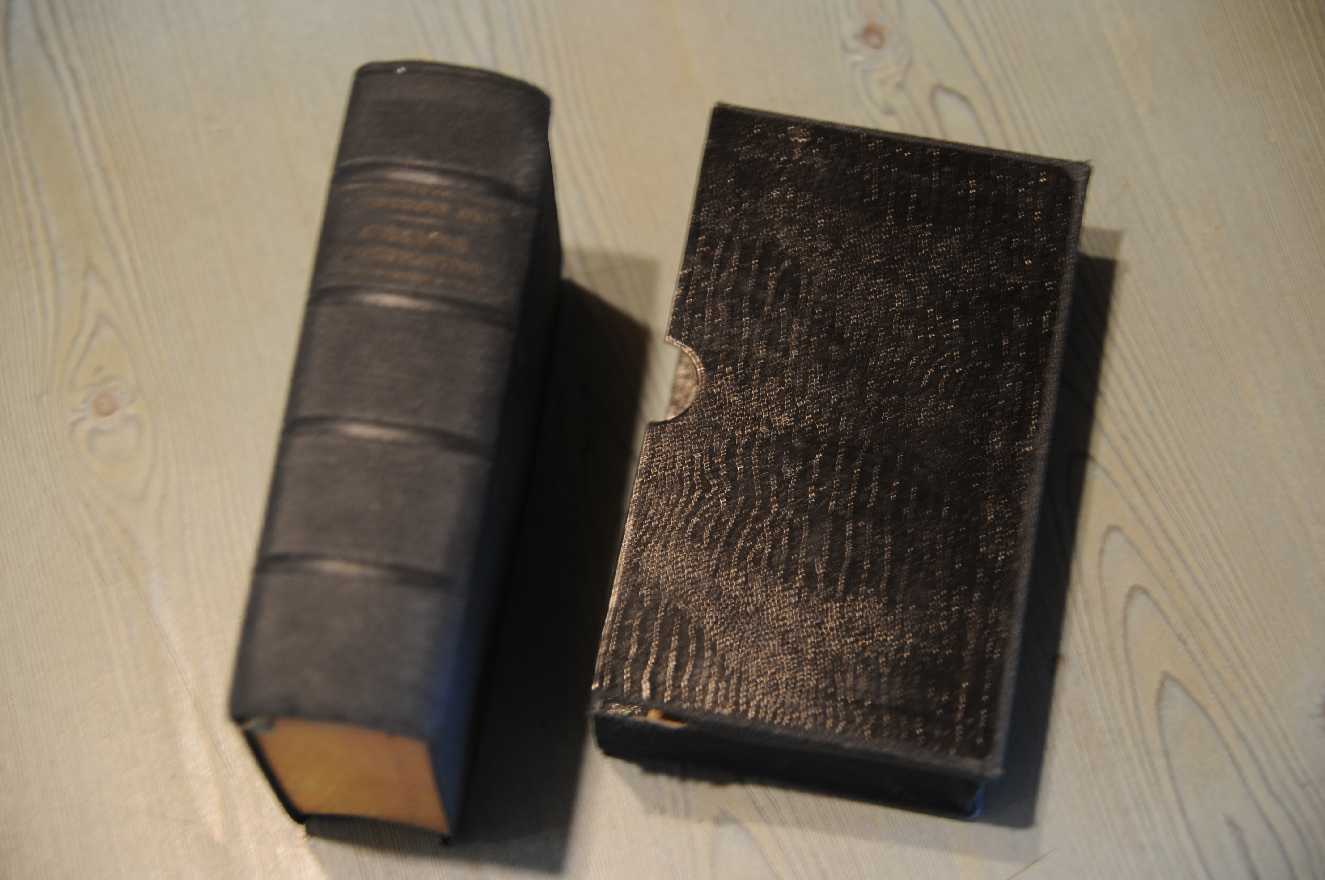 testo latino completo e traduzione italiana di bertola e destefani …