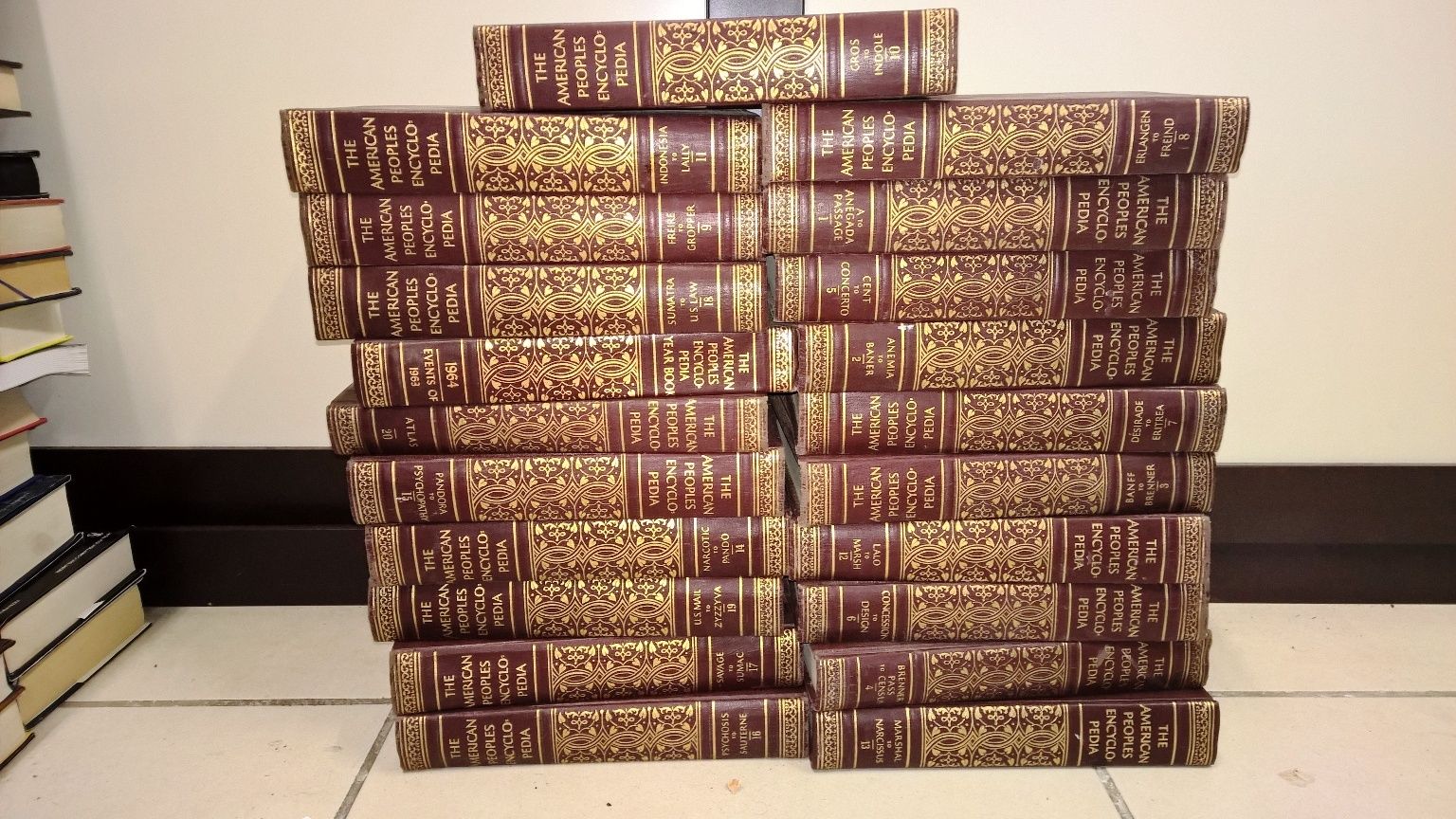 The American People Encyclopedia 21 volumi (Collana Completa)