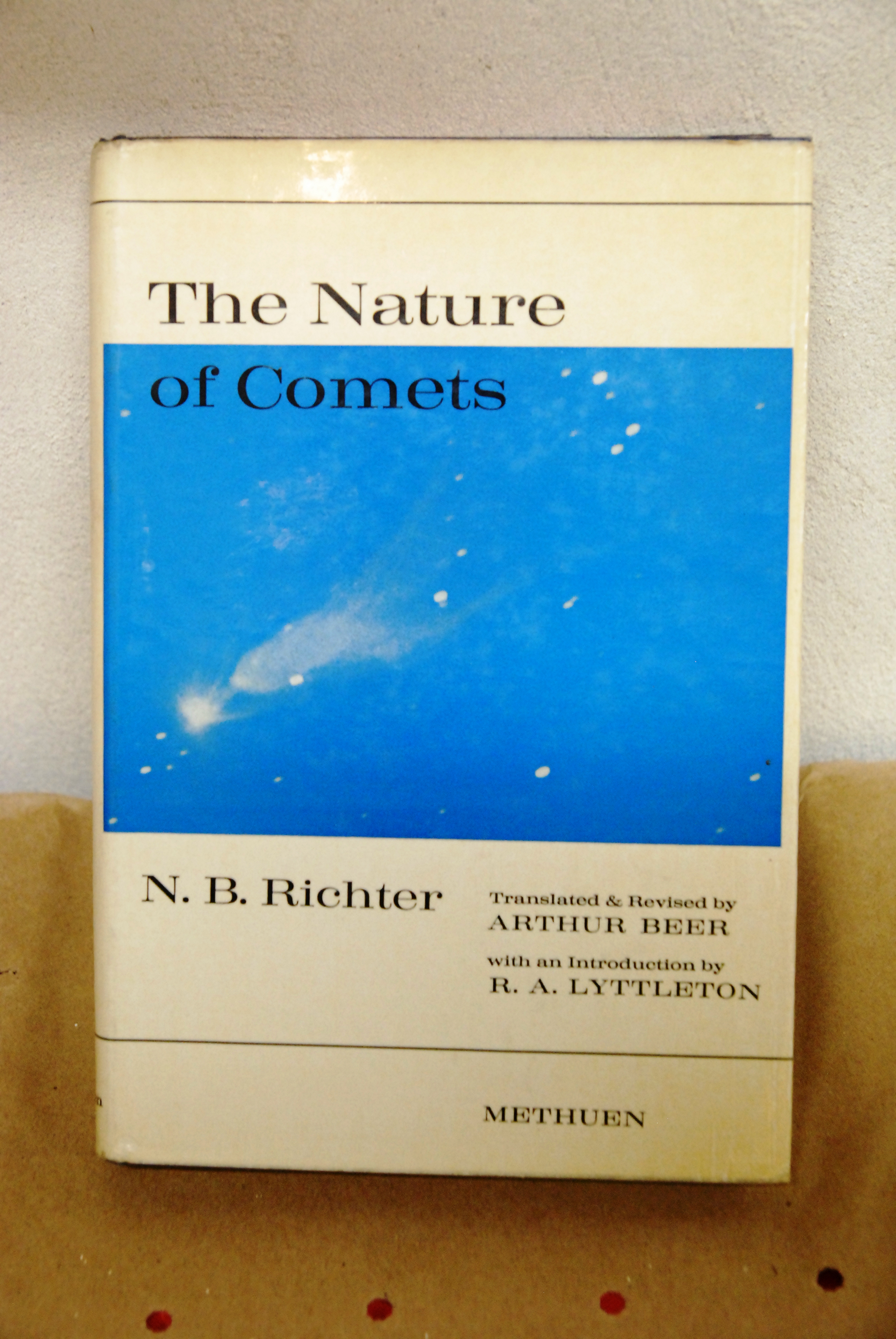 the nature of comets NUOVO