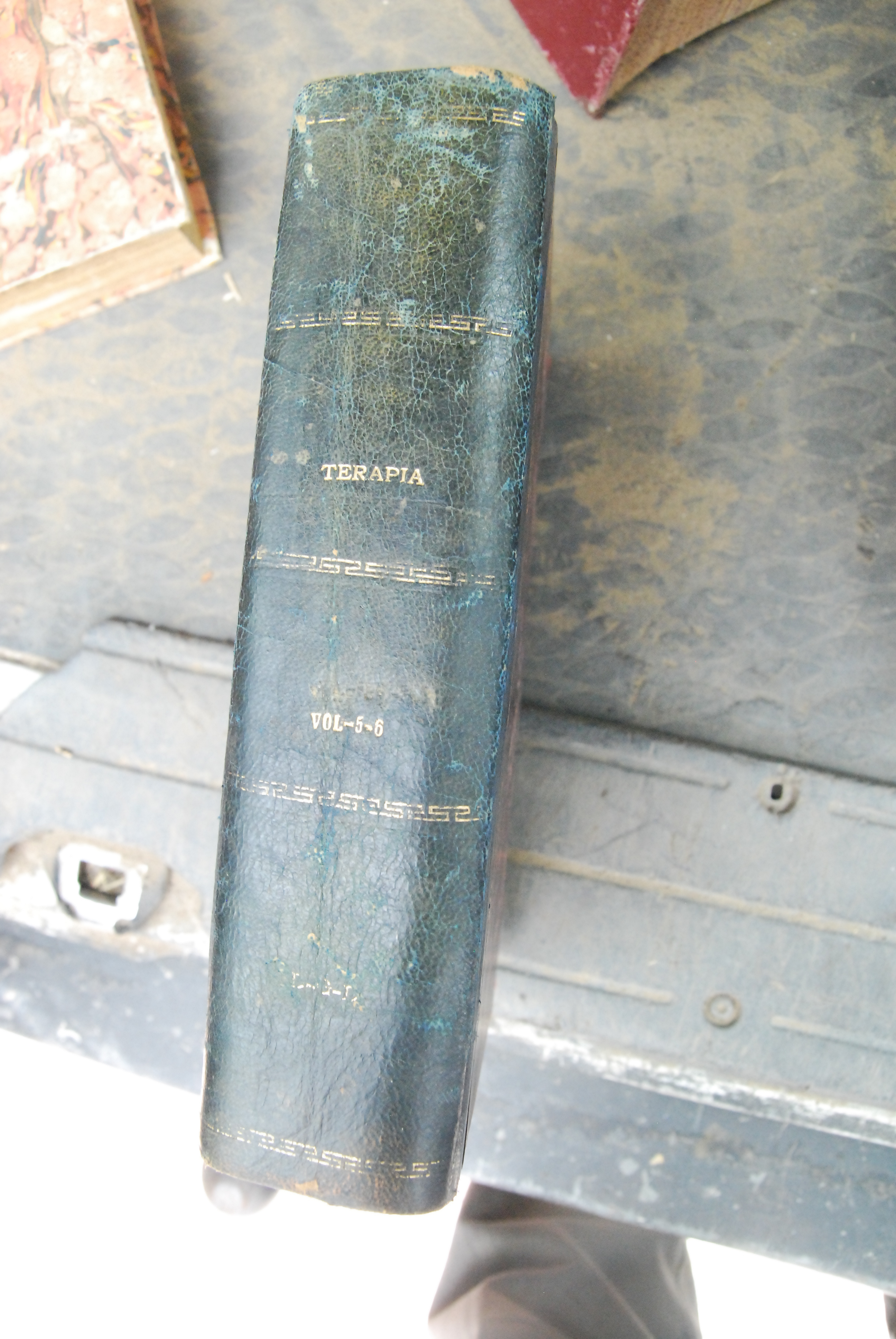 trattato di terapia speciale medica voll. V e VI