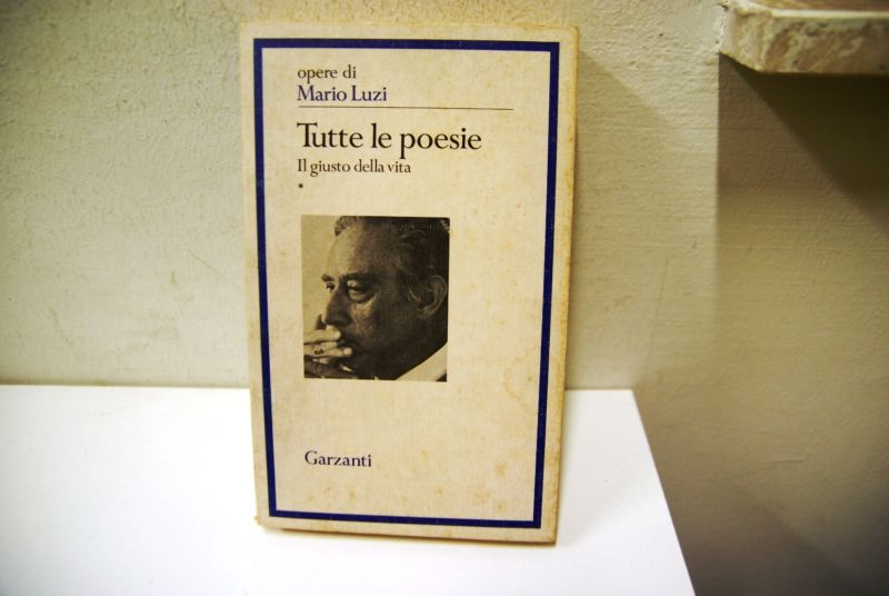 Tutte le poesie, il giusto della vita