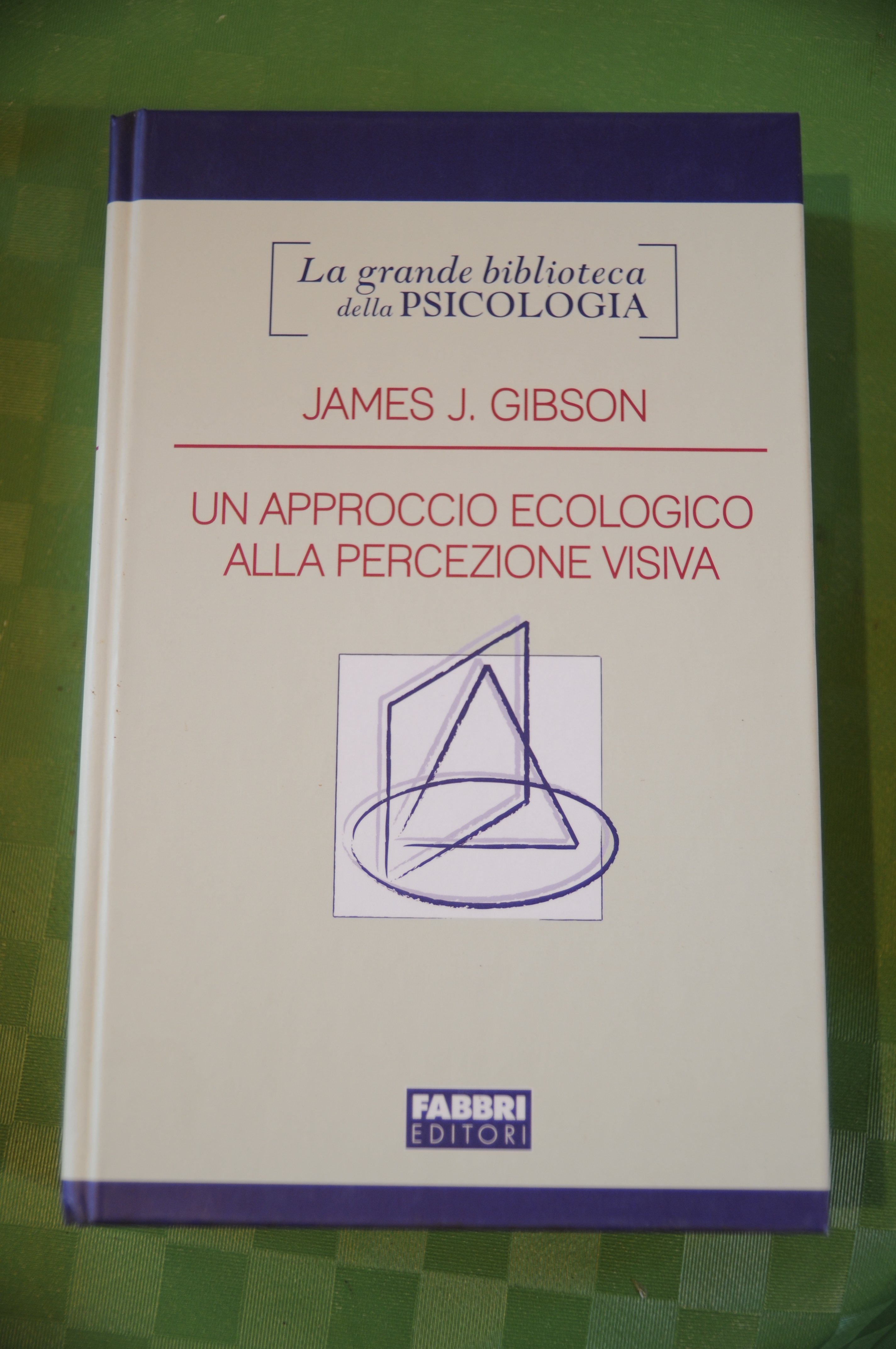 UN APPROCCIO ecologico alla percezione visiva NUOVISSIMO