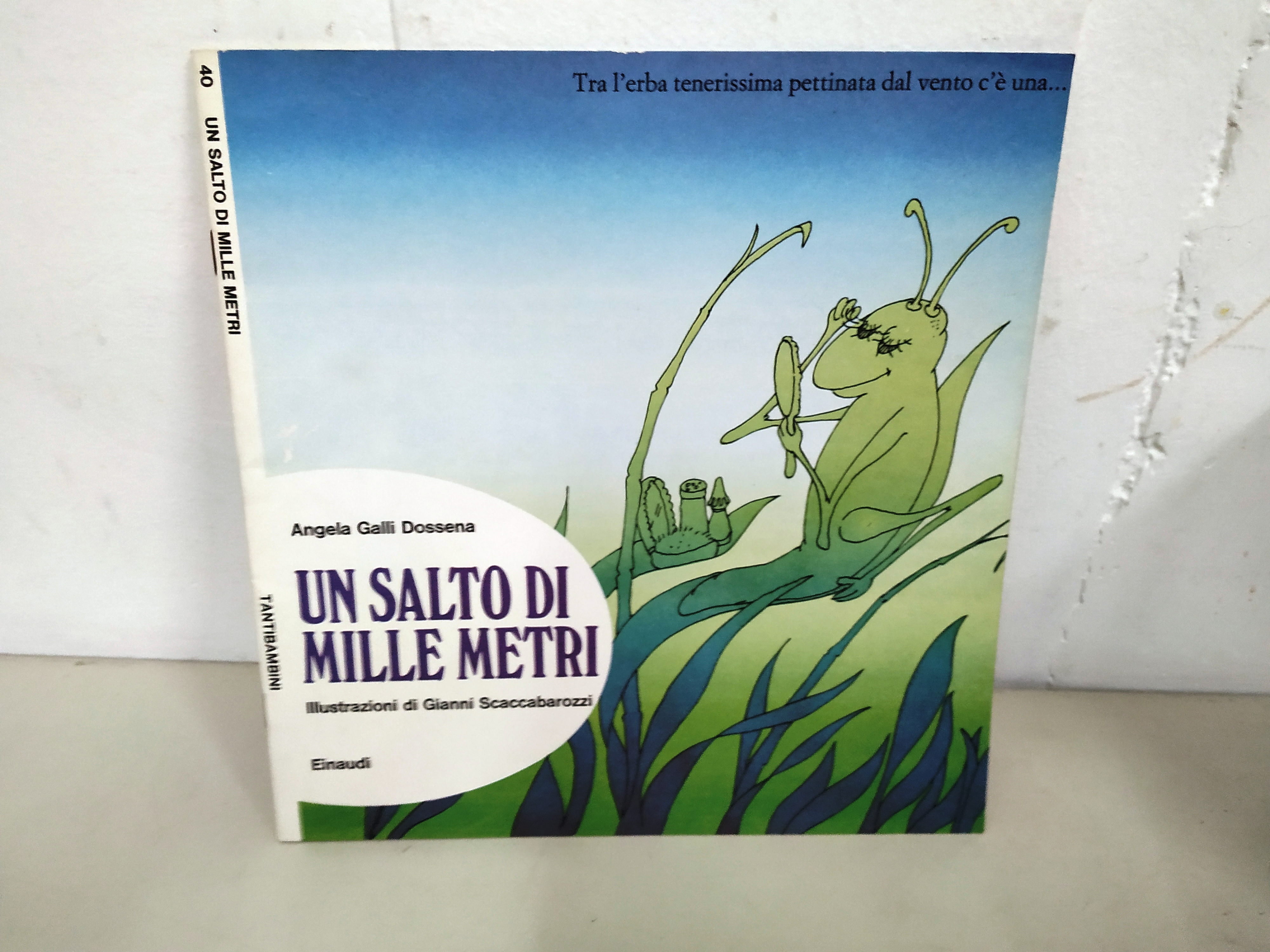 un salto di mille metri NUOVISSIMO