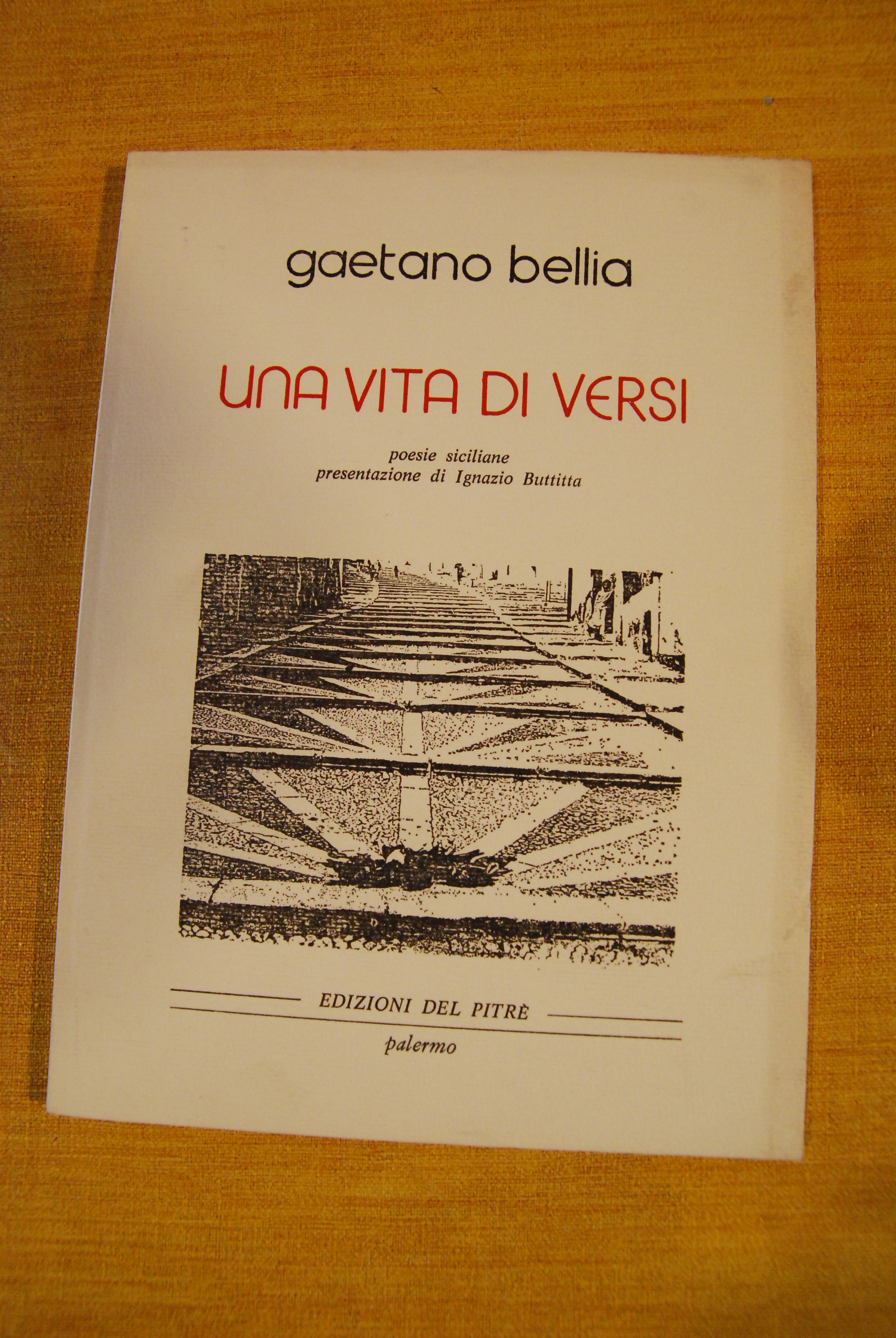 una vita di versi NUOVO