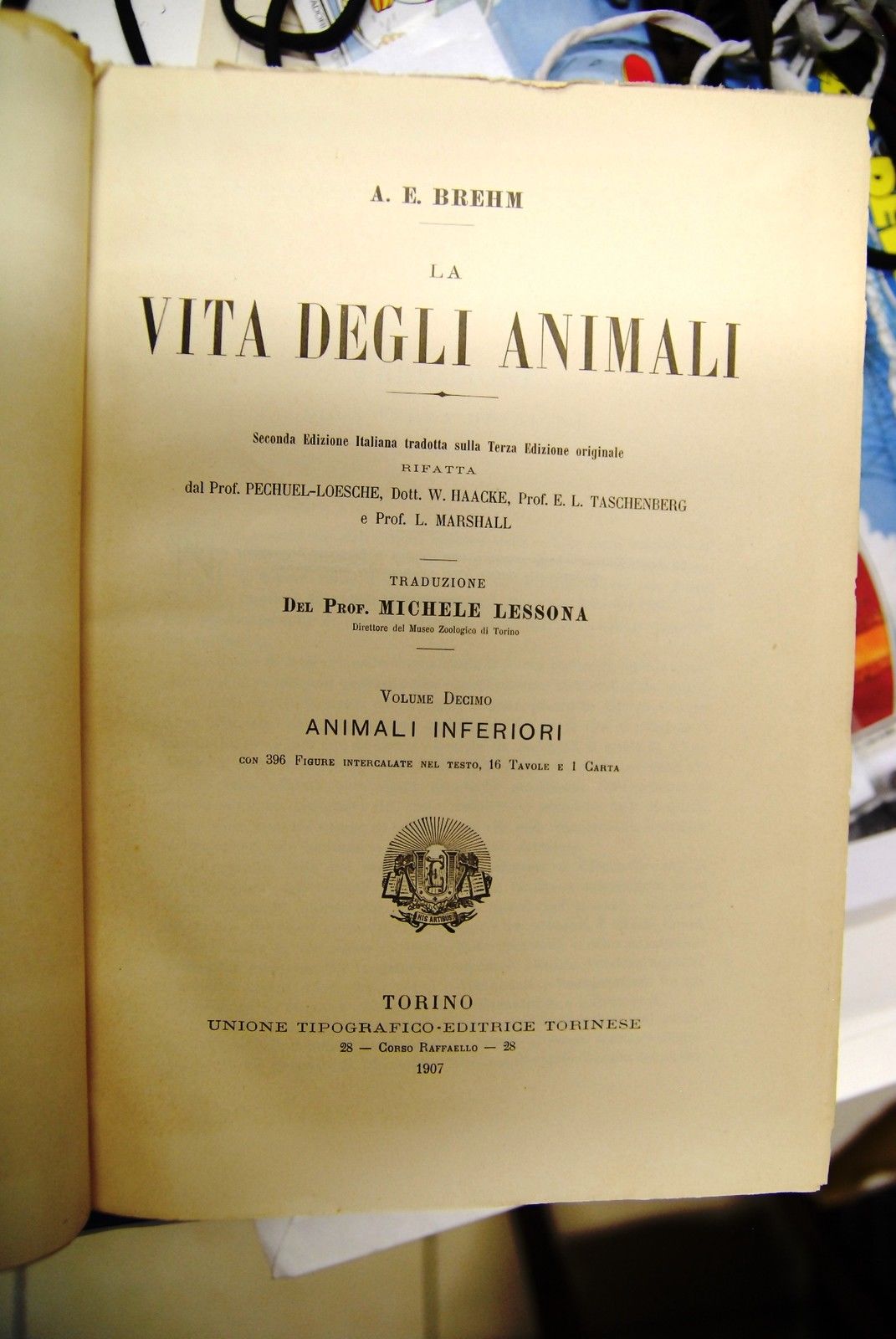 Vita degli animali