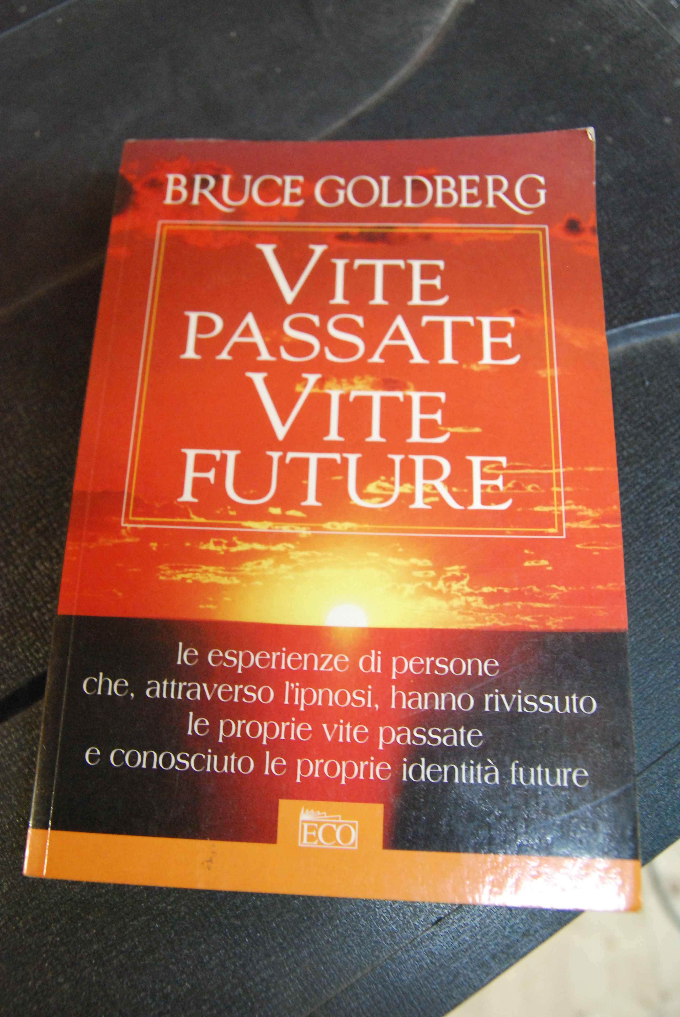 vite passate vite future NUOVO
