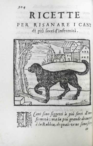LA CACCIA. - Di Giacomo di Foglioso, scudiero e signore …