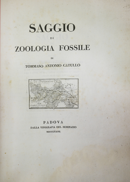 SAGGIO DI ZOOLOGIA FOSSILE. - Ovvero osservazioni sopra li petrefatti …